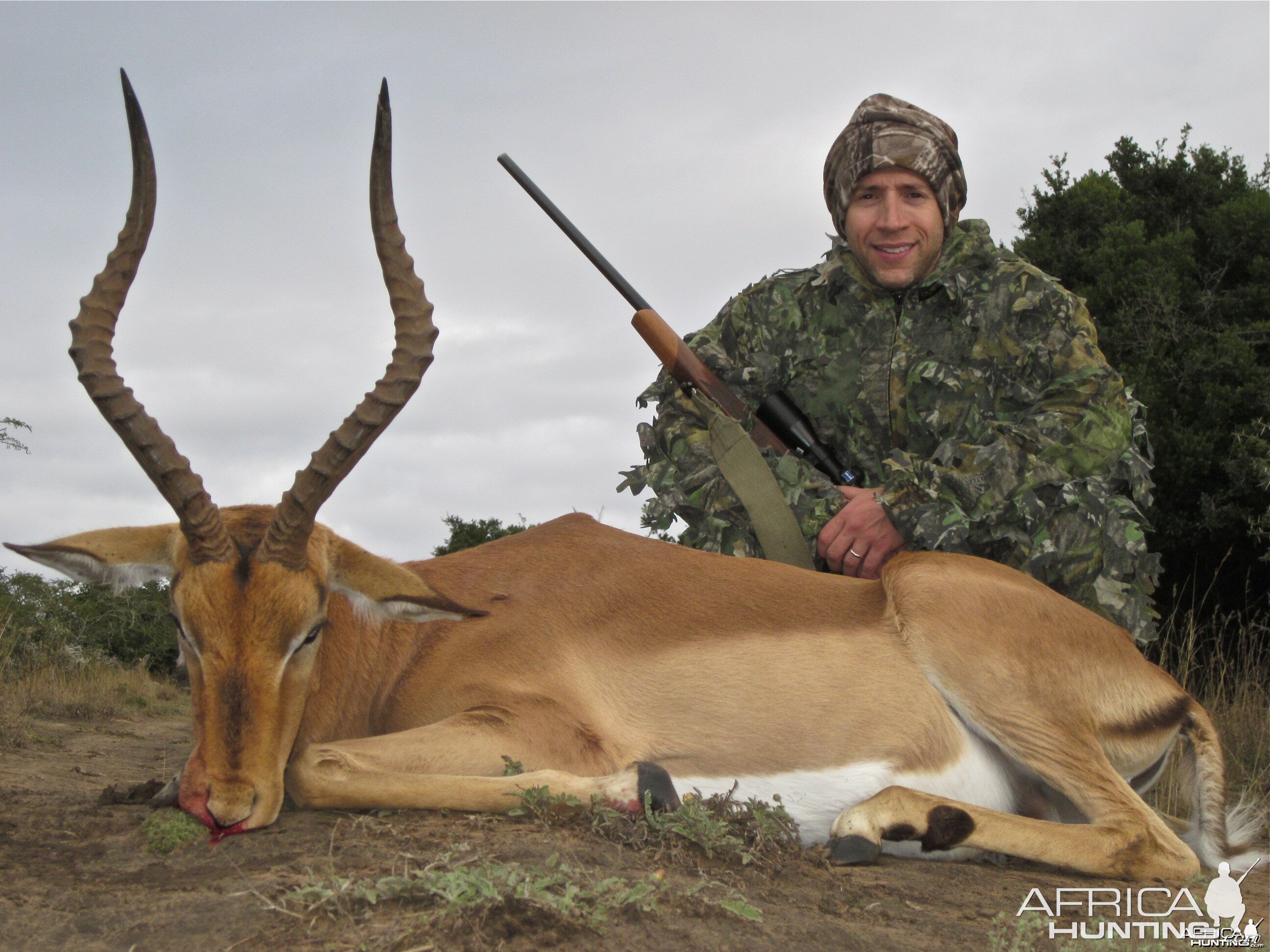 Impala