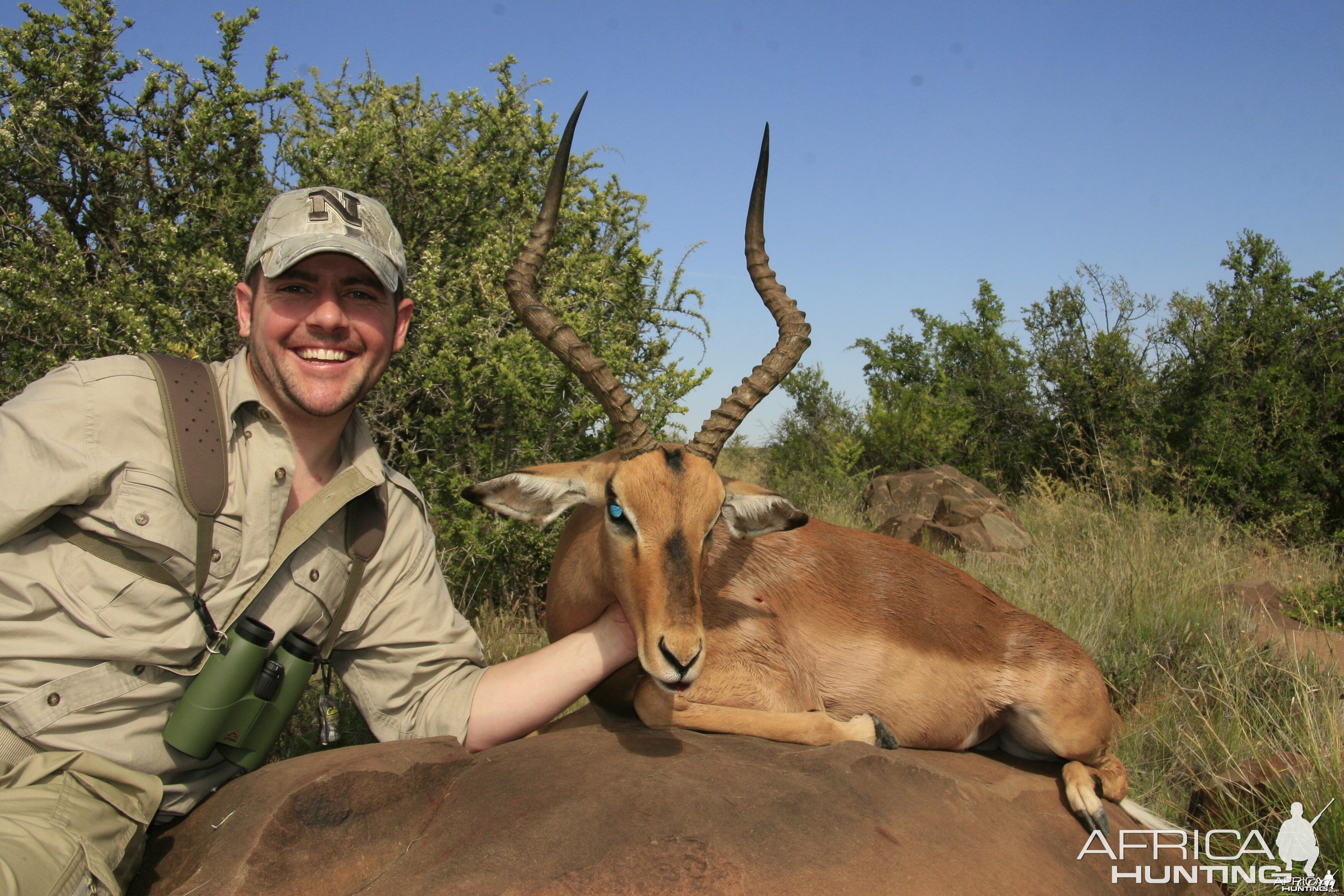 Impala