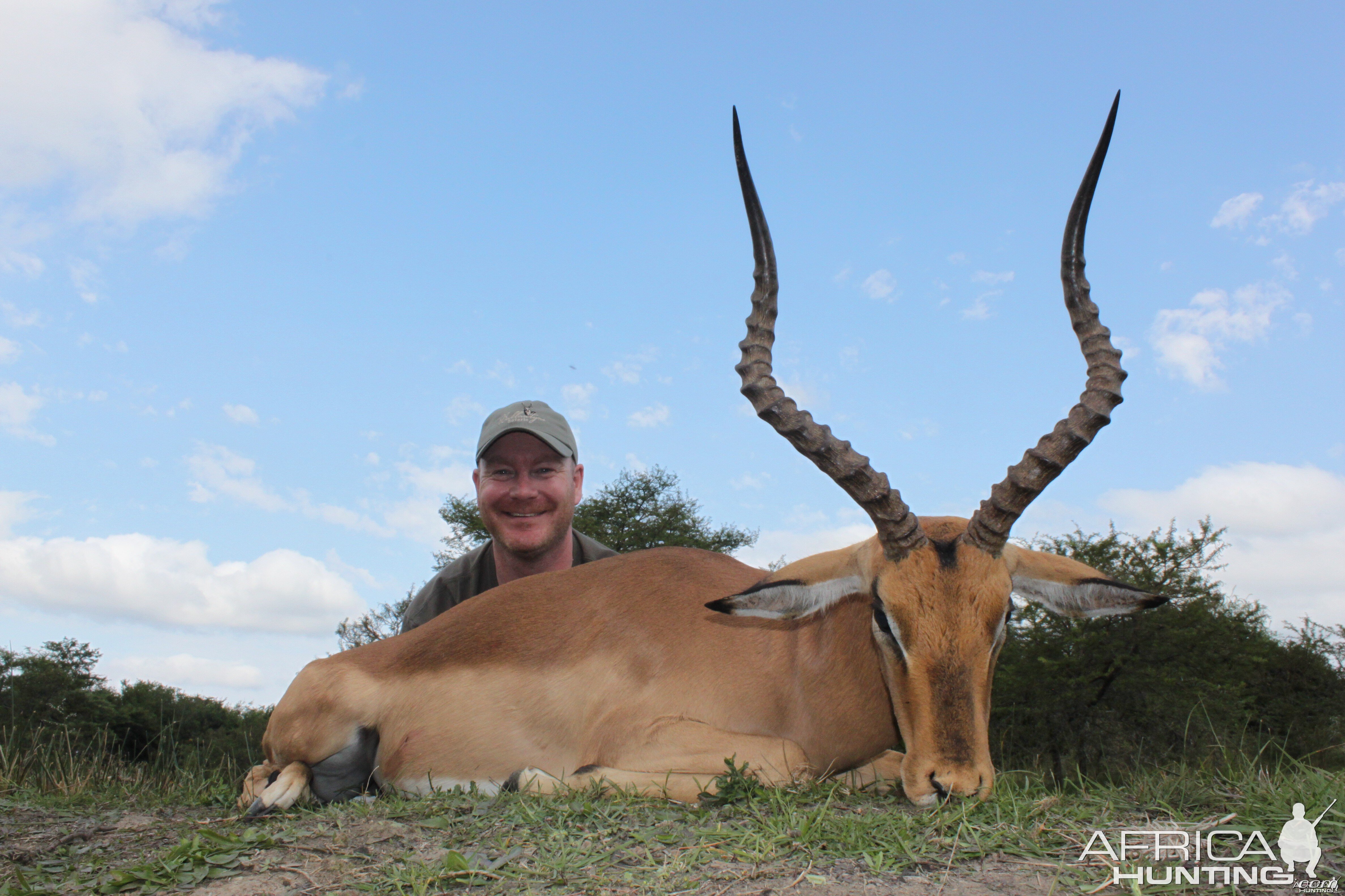 Impala