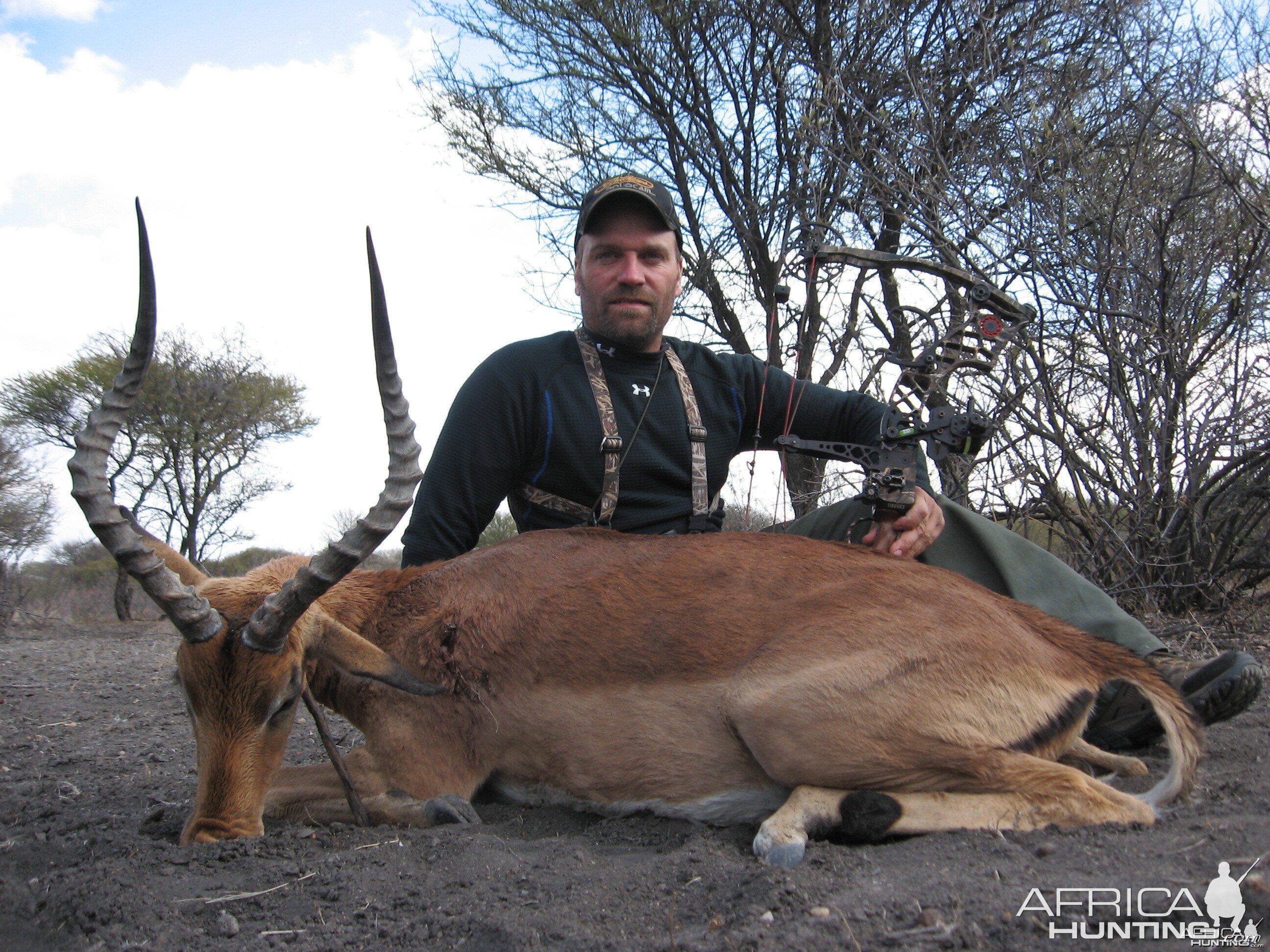 Impala