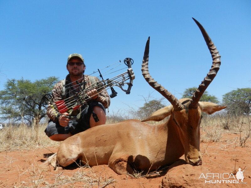 Impala