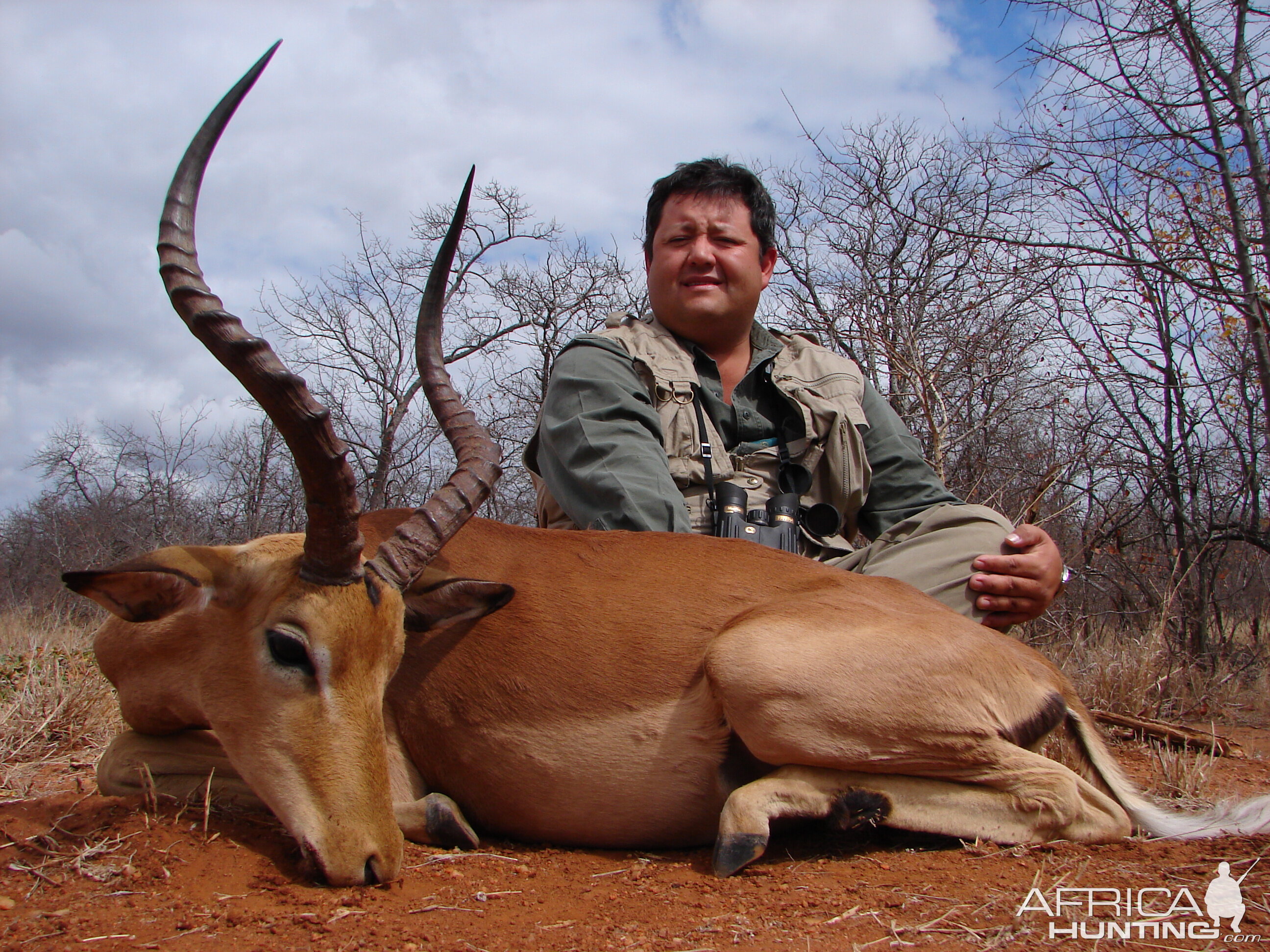 impala