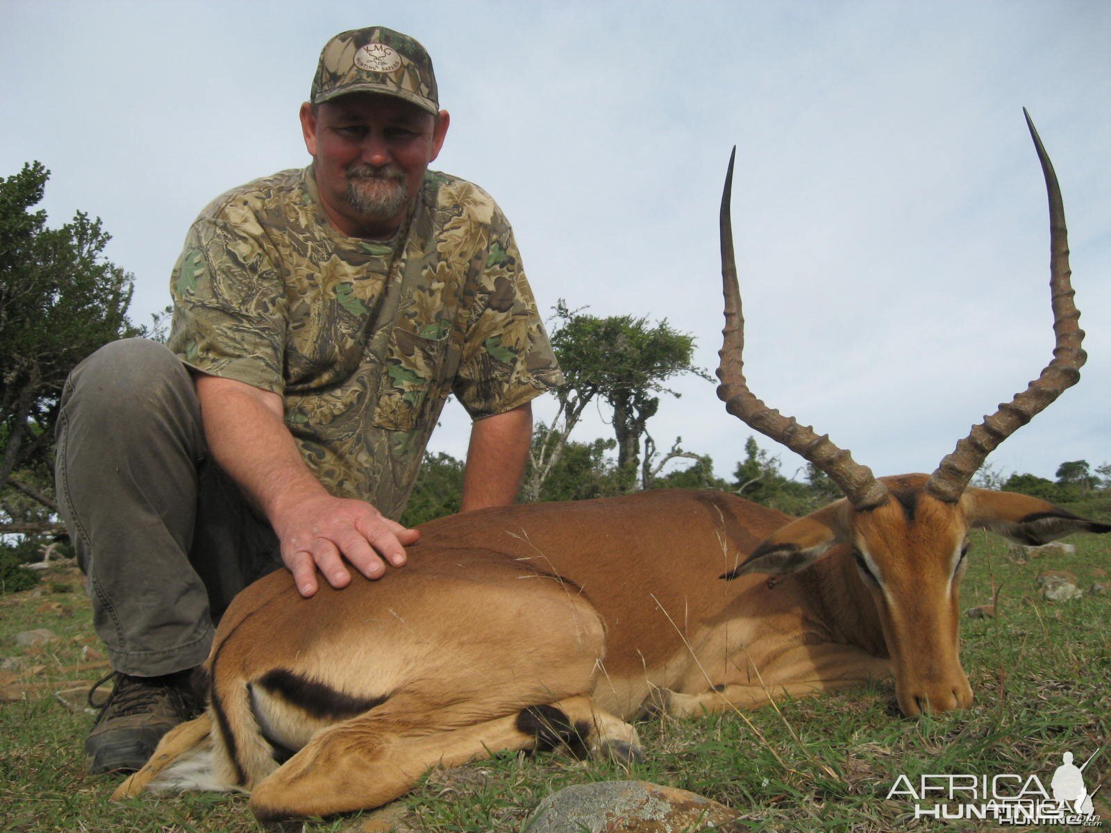 Impala