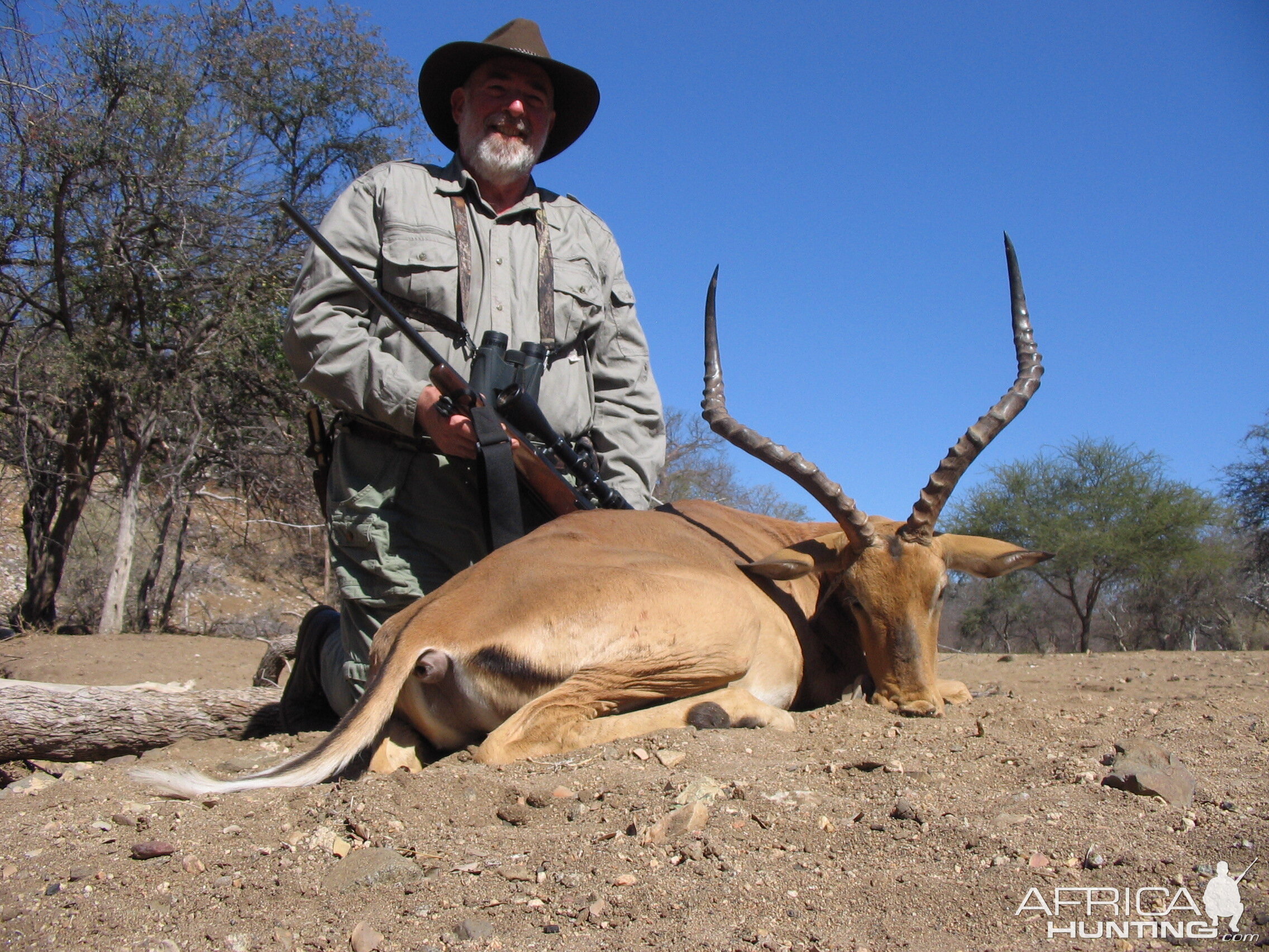 Impala