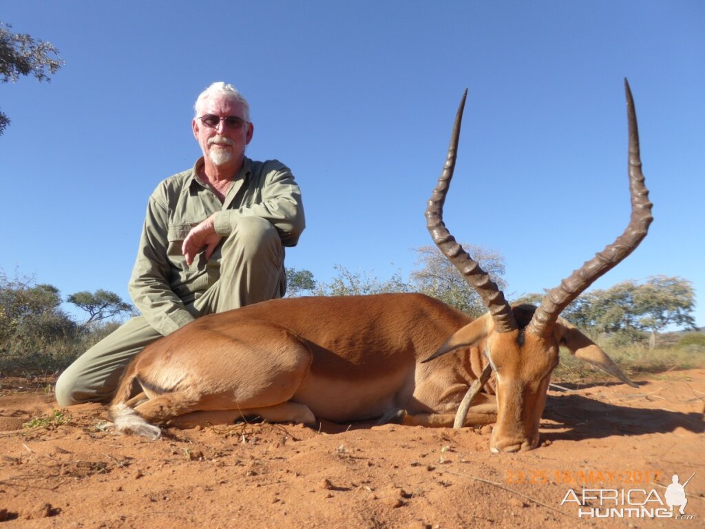 Impala