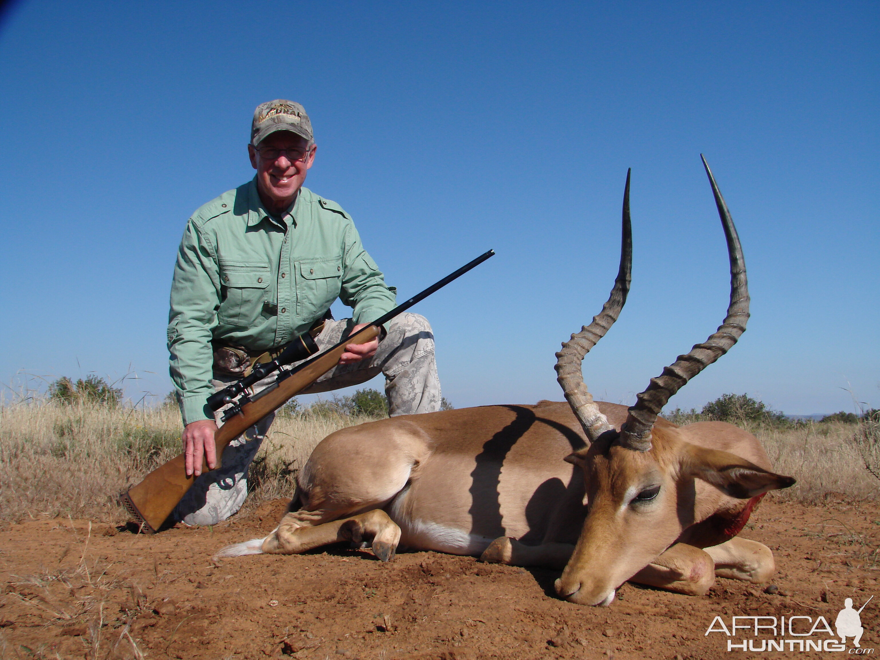 Impala