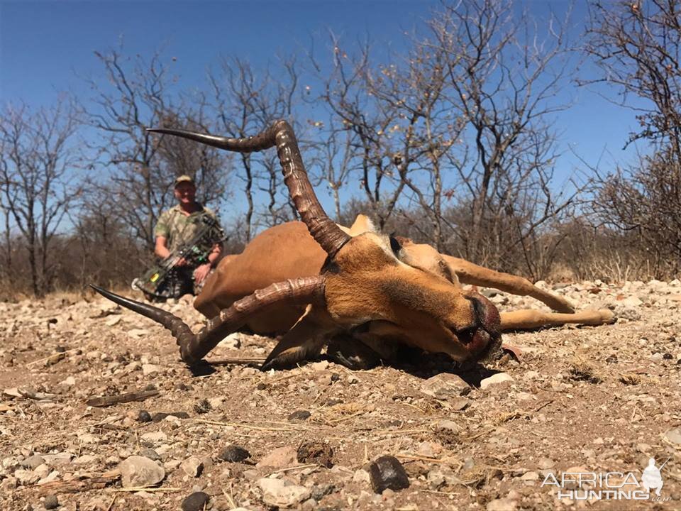 Impala