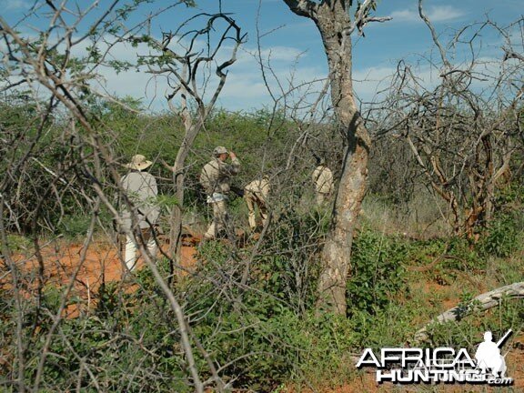 In the Bush