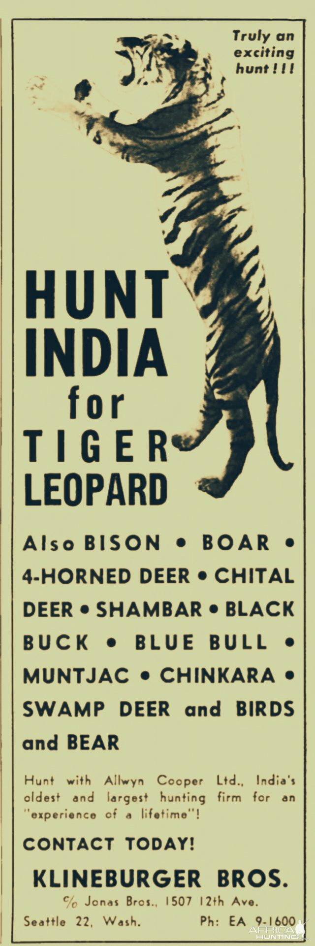 India Hunting Add