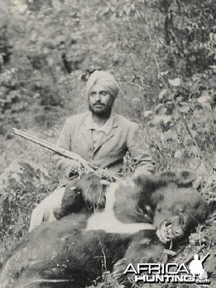 Indian hunter with a Himalayan Black Bear 1930s