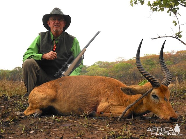 Interesting Zambia Species