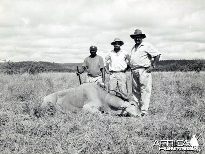 Iqbal Mauladad (BALI) East Africa