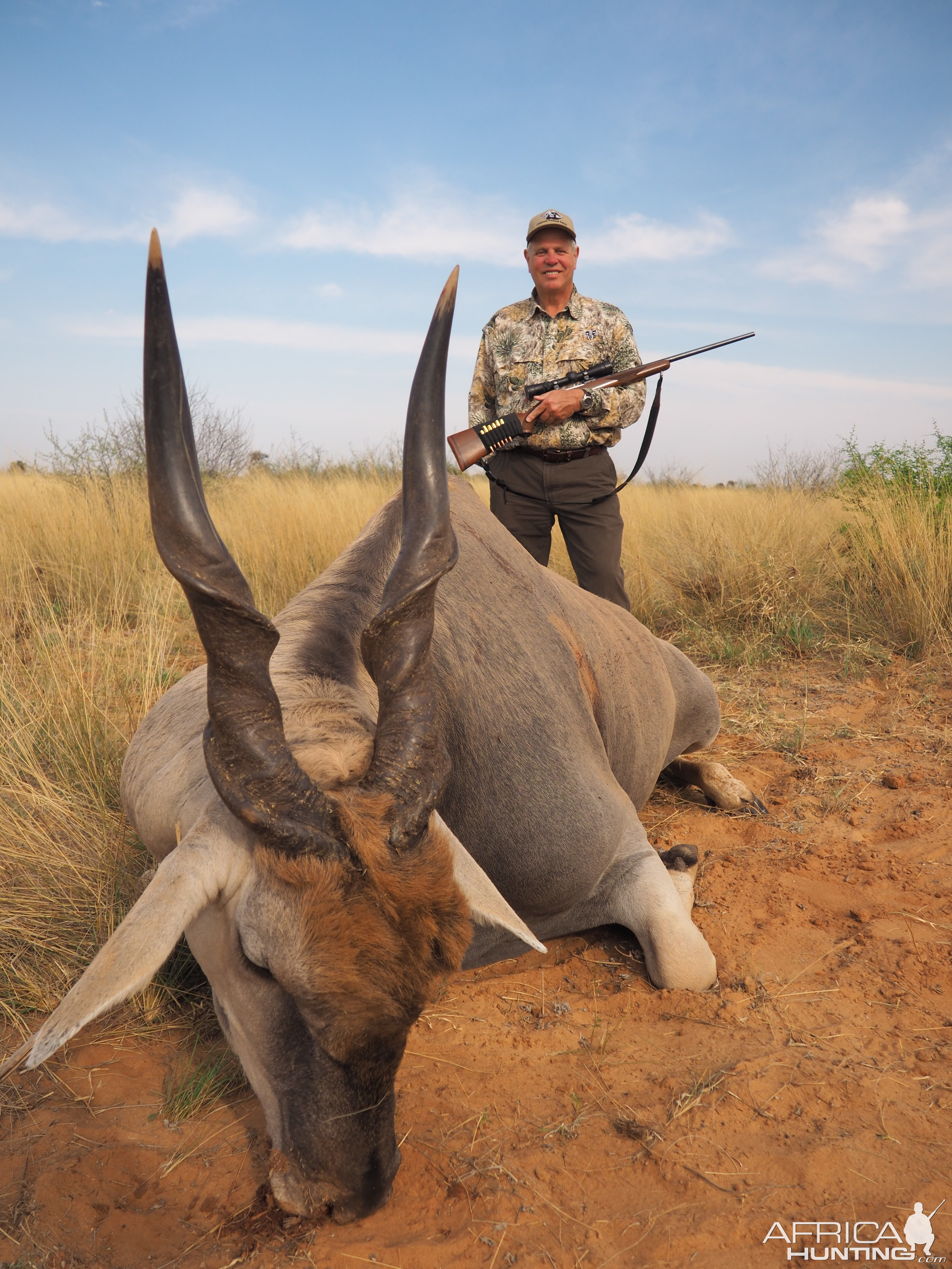 Ivory tips on this old Eland Blue Bull