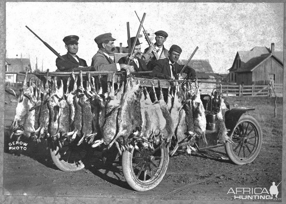 Jack Rabbit hunt in Mead, Kansas USA, year 1912