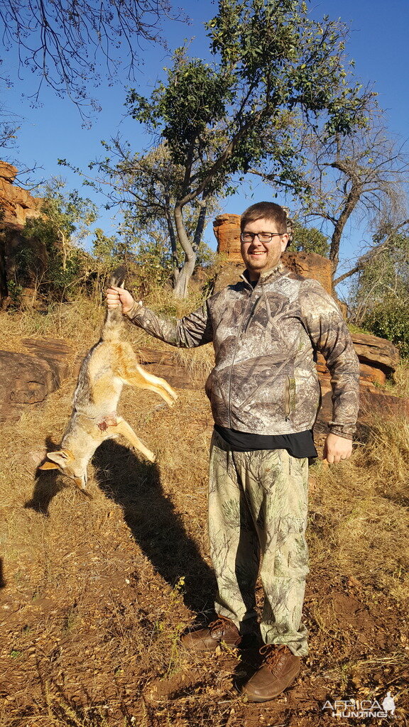 Jackal Bow Hunting South Africa