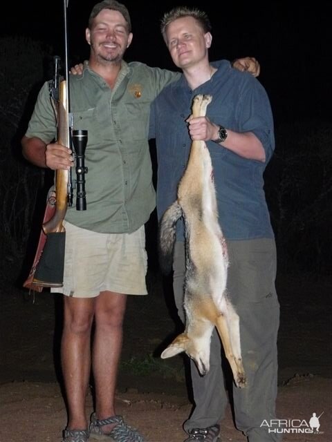 Jackal Culling & Varmint hunting South Africa