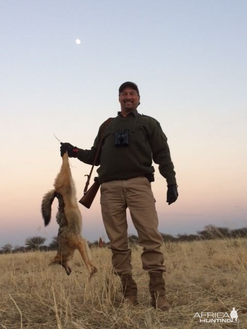 Jackal Hunt in South Africa