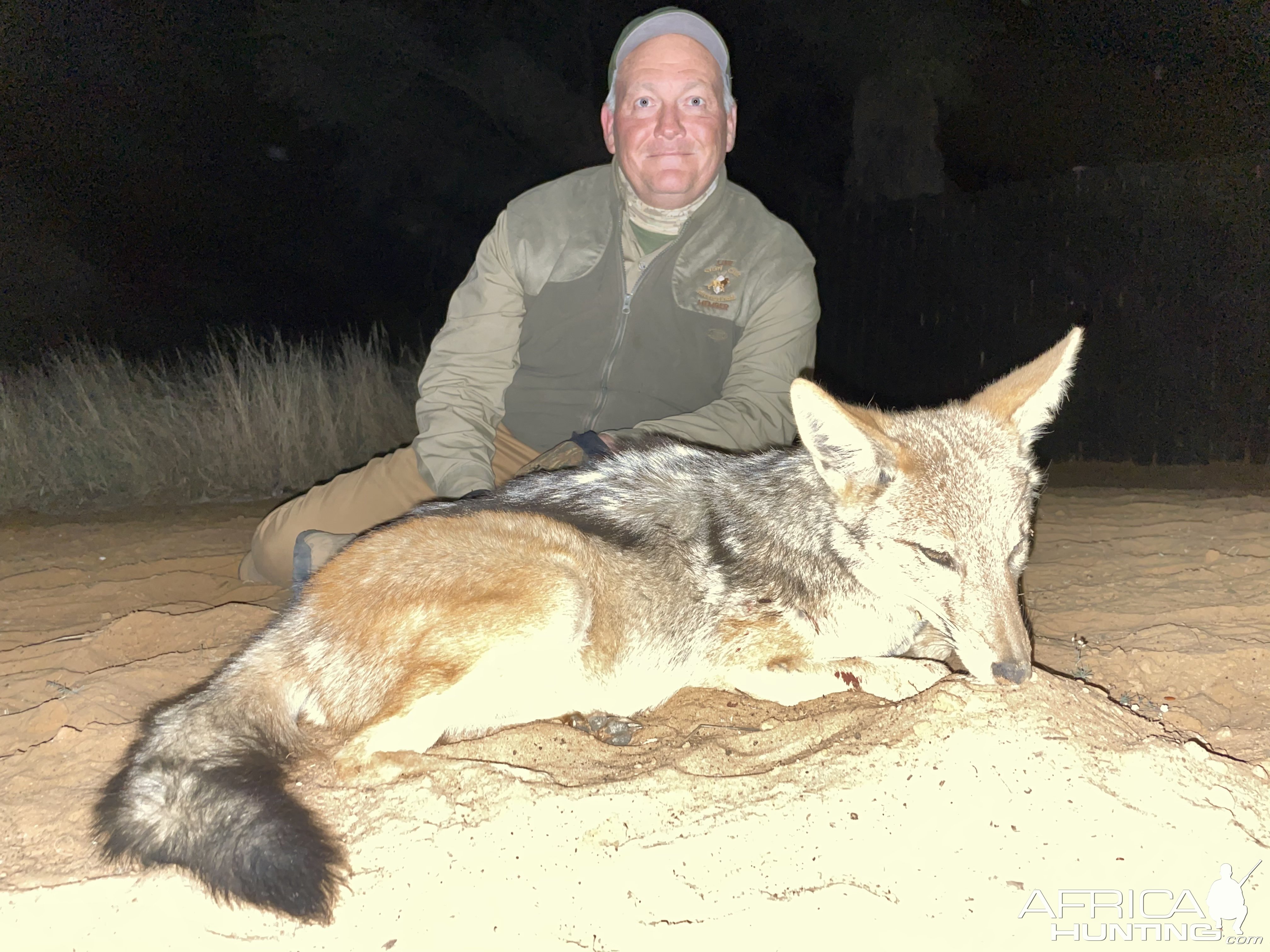 Jackal Hunt Kalahari South Africa