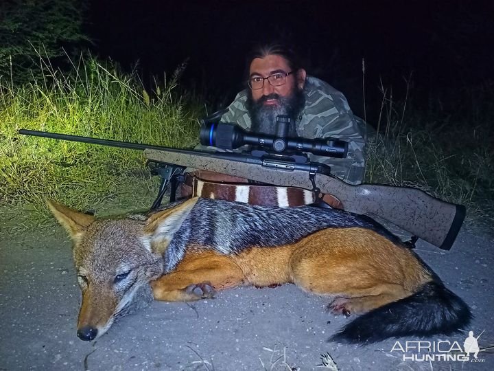 Jackal Hunt South Africa