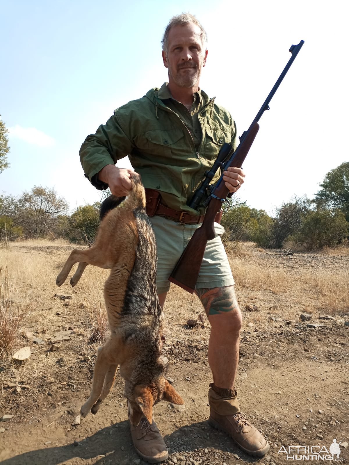 Jackal Hunt South Africa