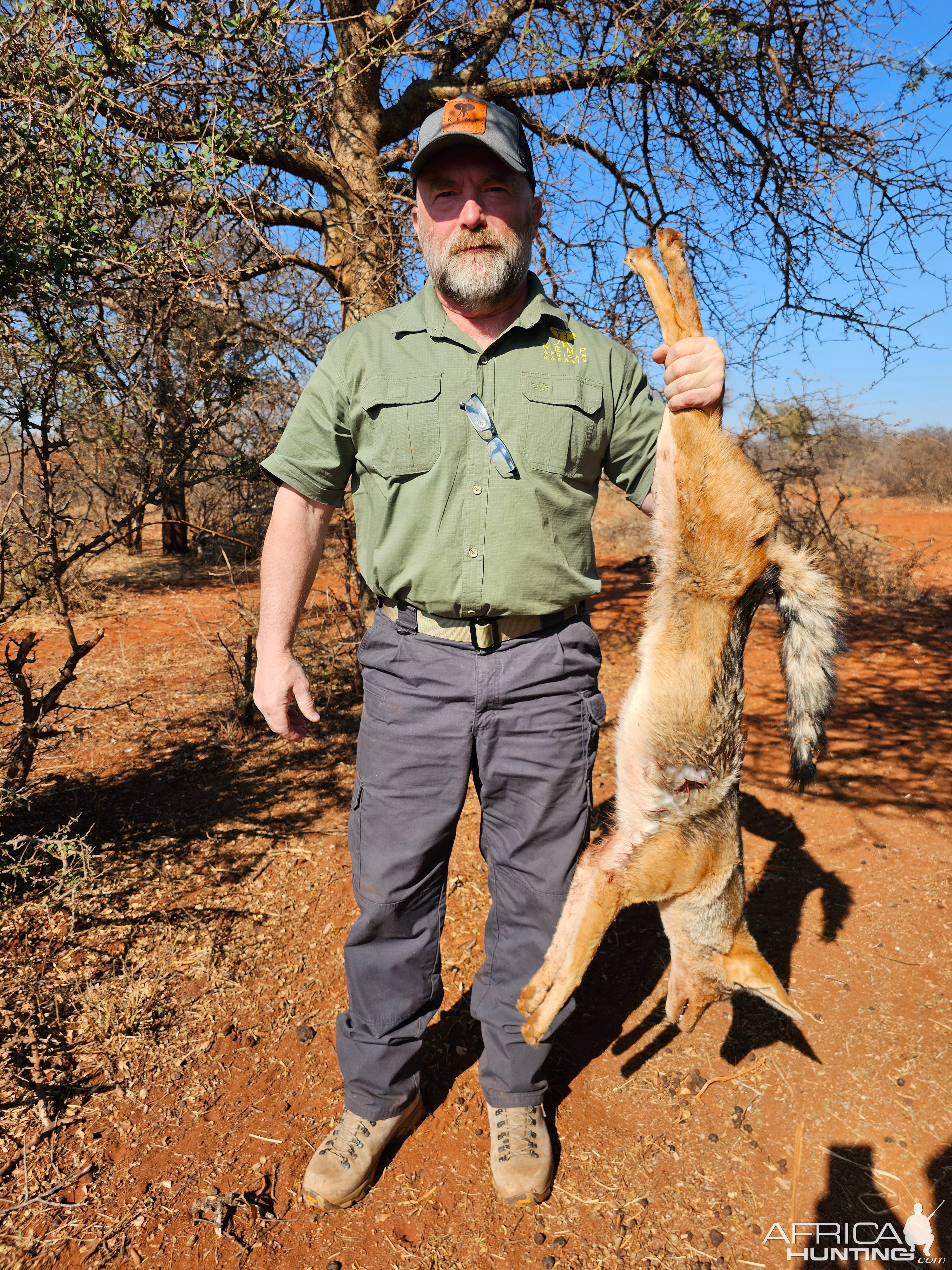 Jackal Hunt South Africa