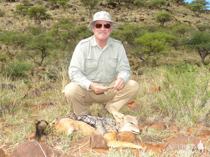 Jackal hunt with Wintershoek Johnny Vivier Safaris