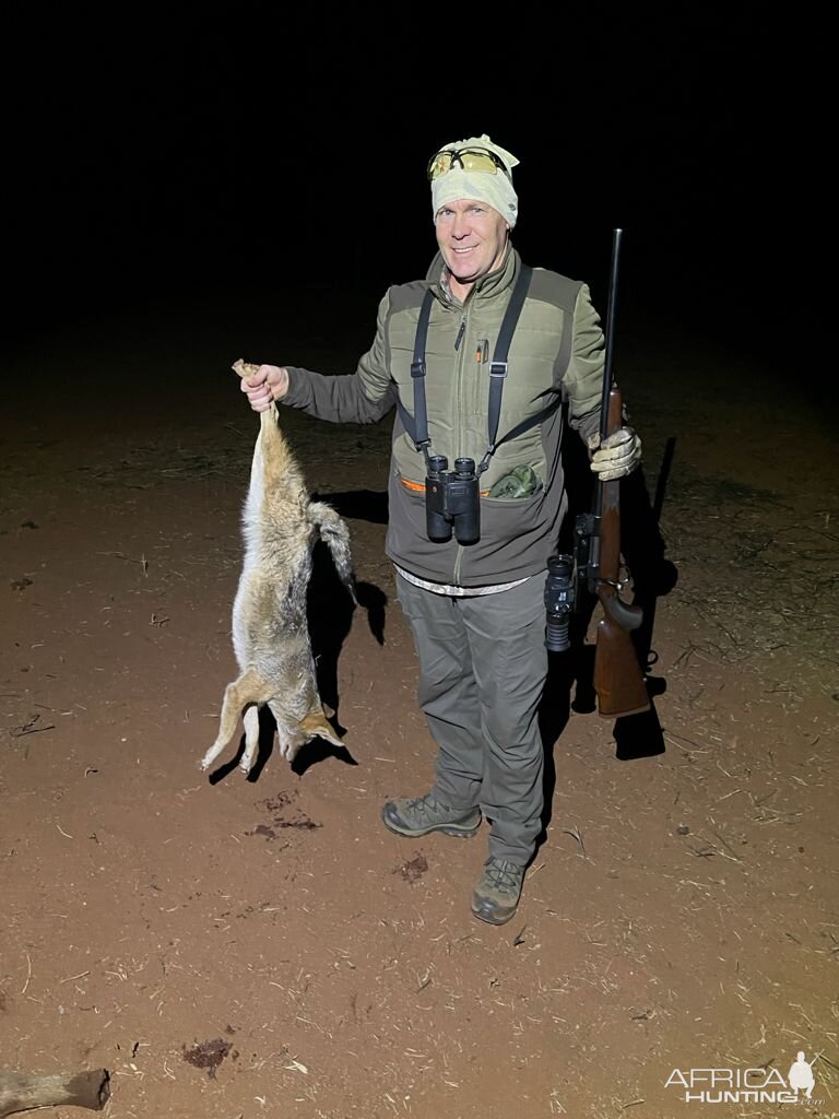 Jackal Hunting Limpopo Povince South Africa