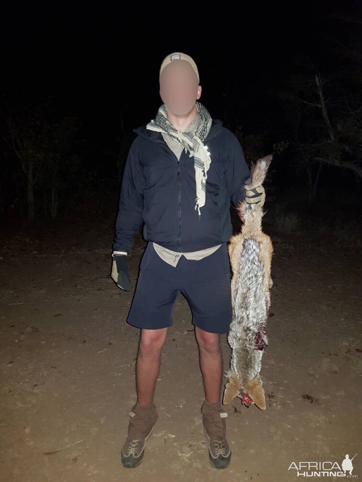 Jackal Hunting Matetsi Area Zimbabwe