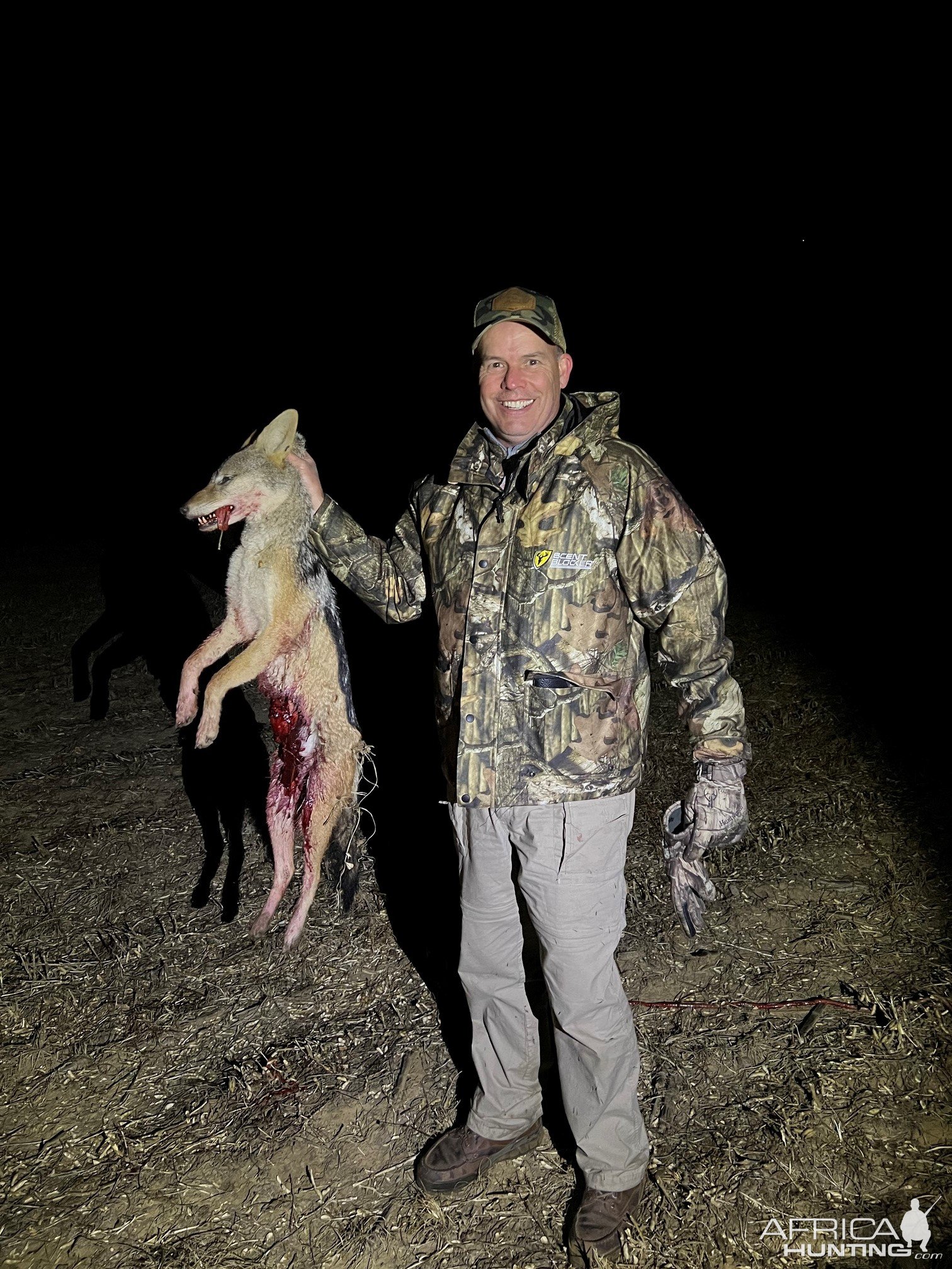 Jackal Hunting Mpumalanga South Africa