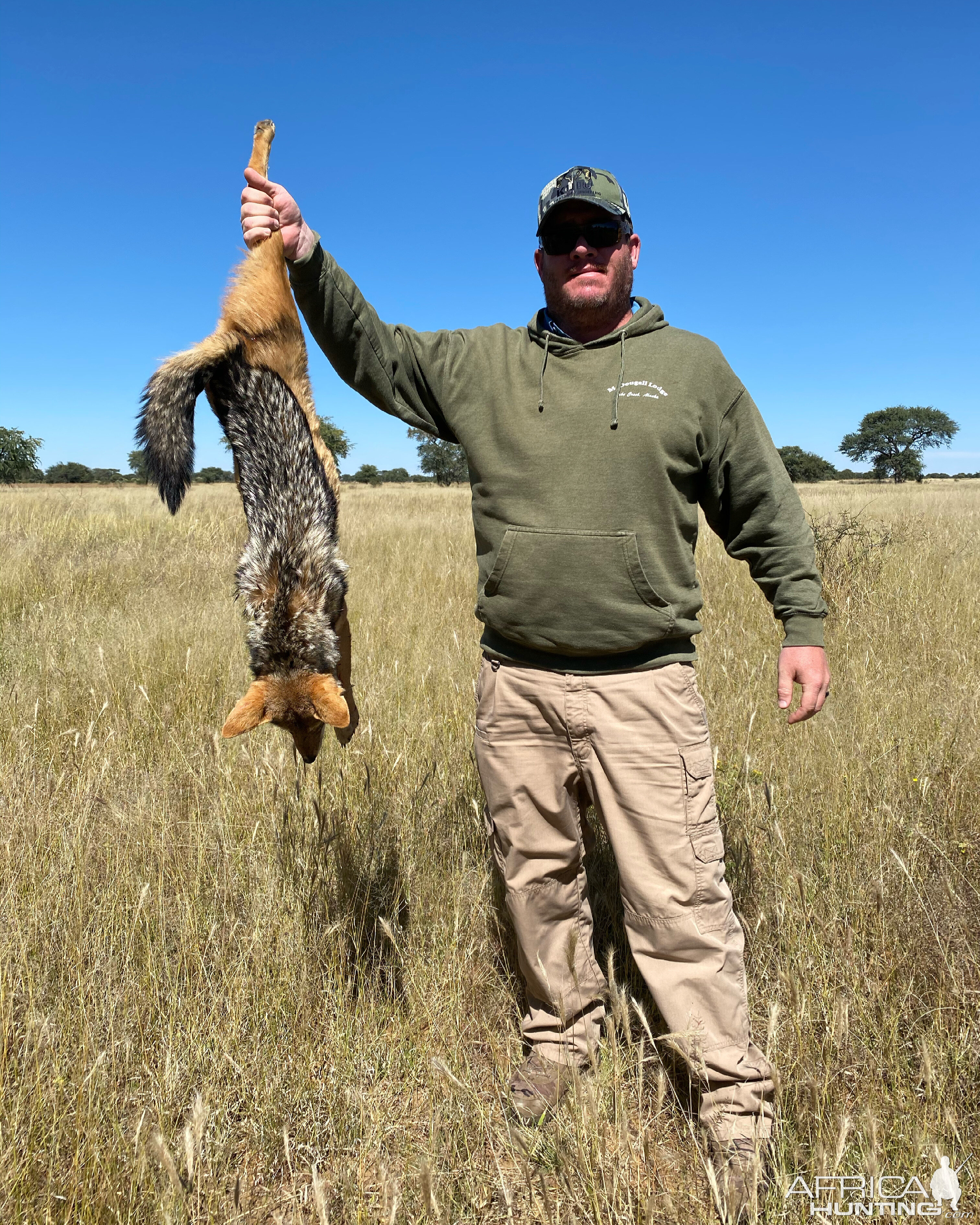 Jackal Hunting Namibia