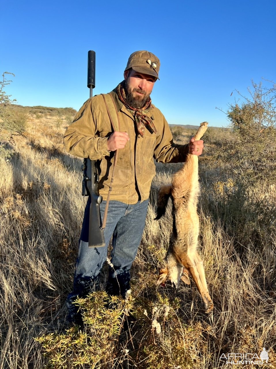 Jackal Hunting Namibia