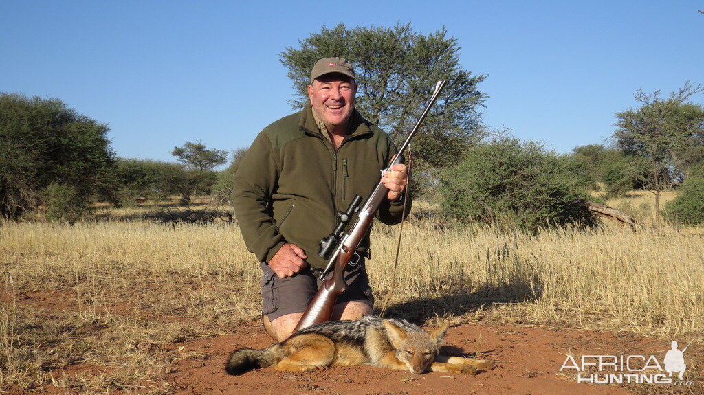 Jackal Namibia Hunt