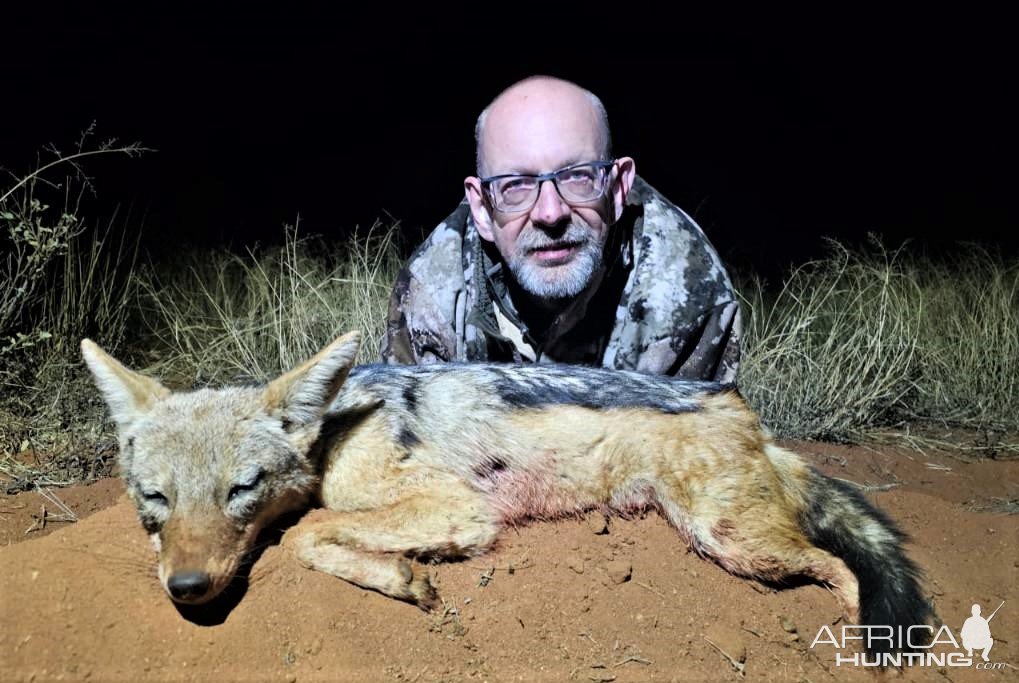 Jackal Night Hunt South Africa