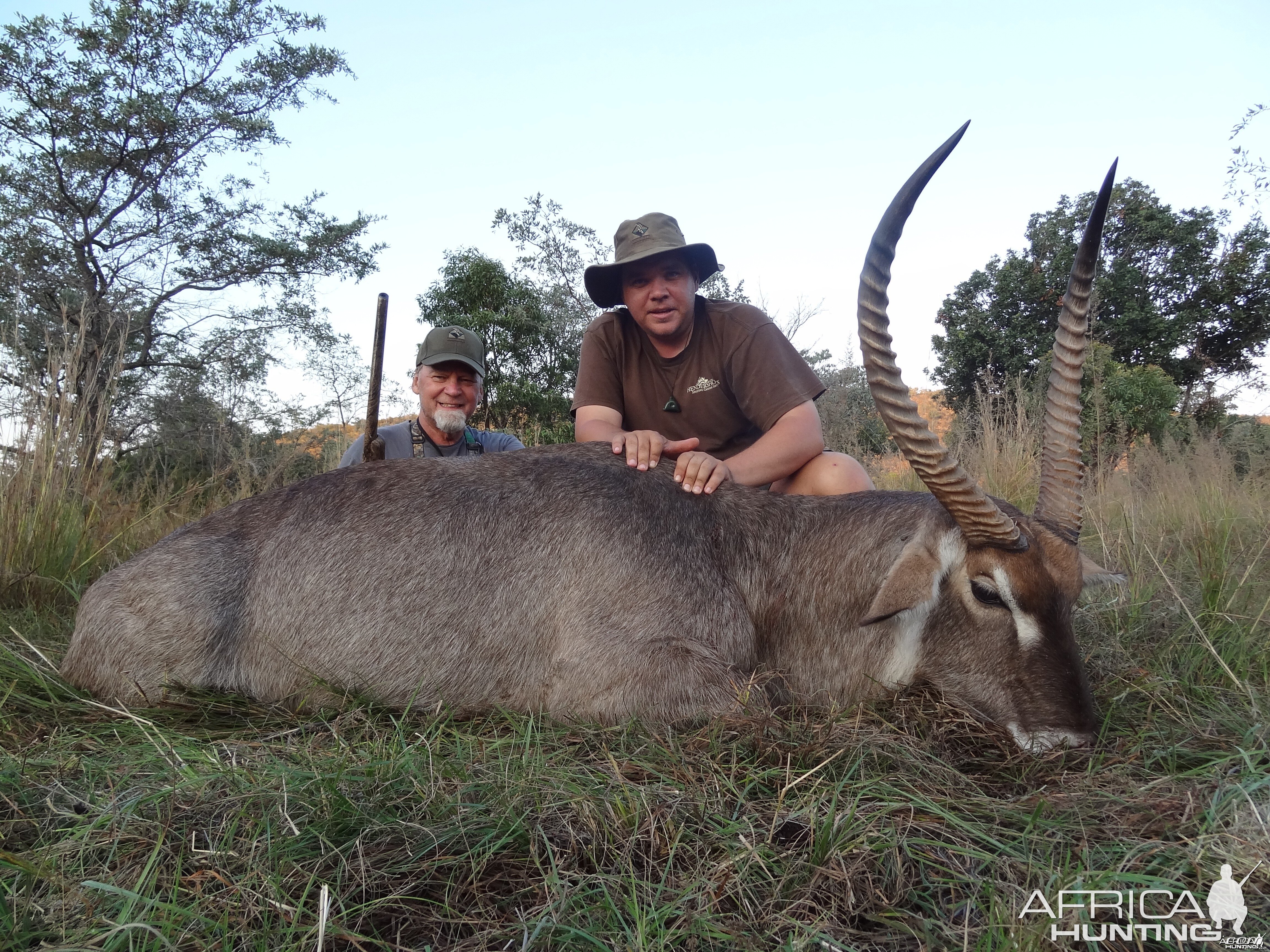 Jaco me waterbuck