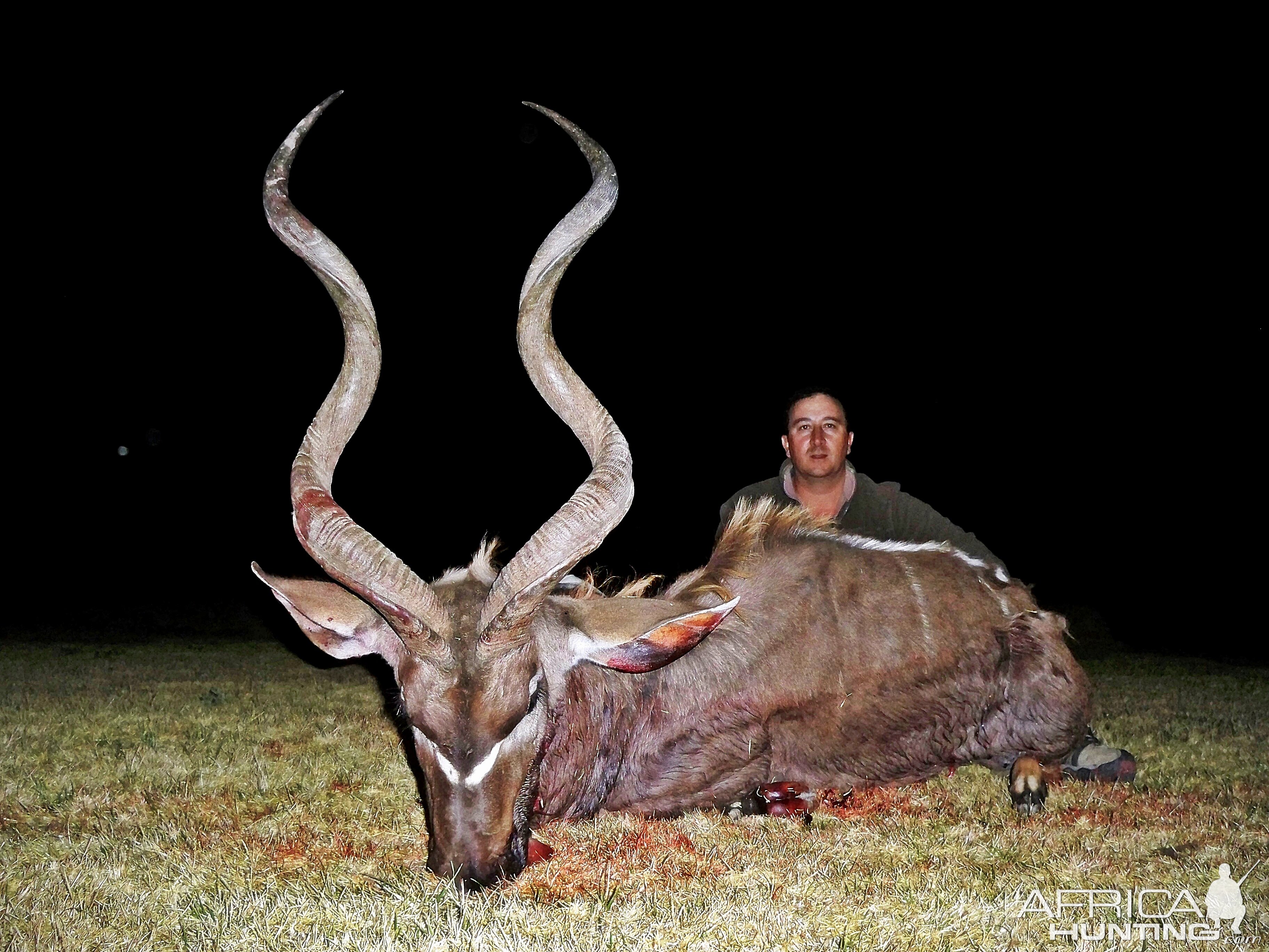 Jansenville Kudu