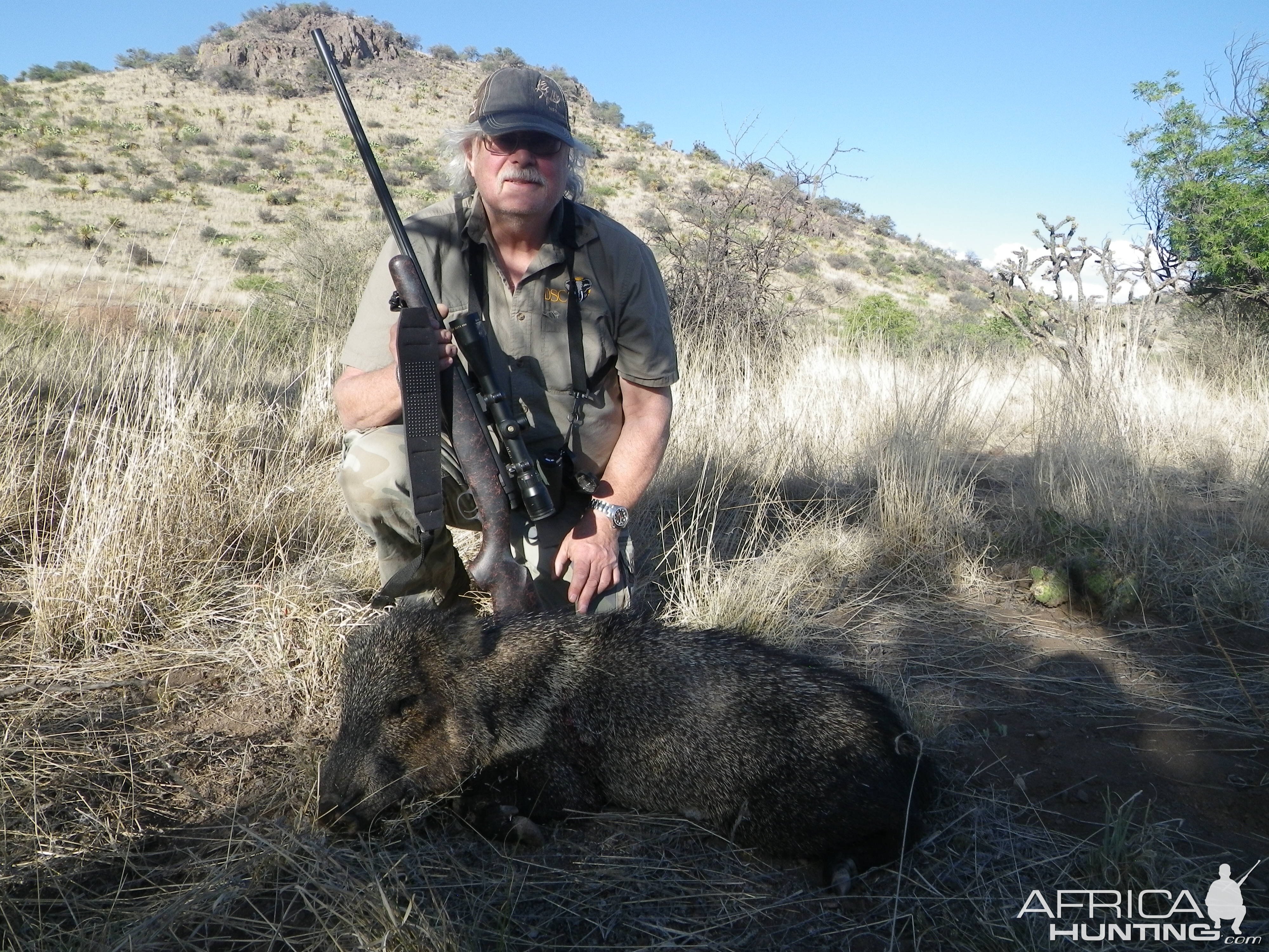 Javelina Hunting USA