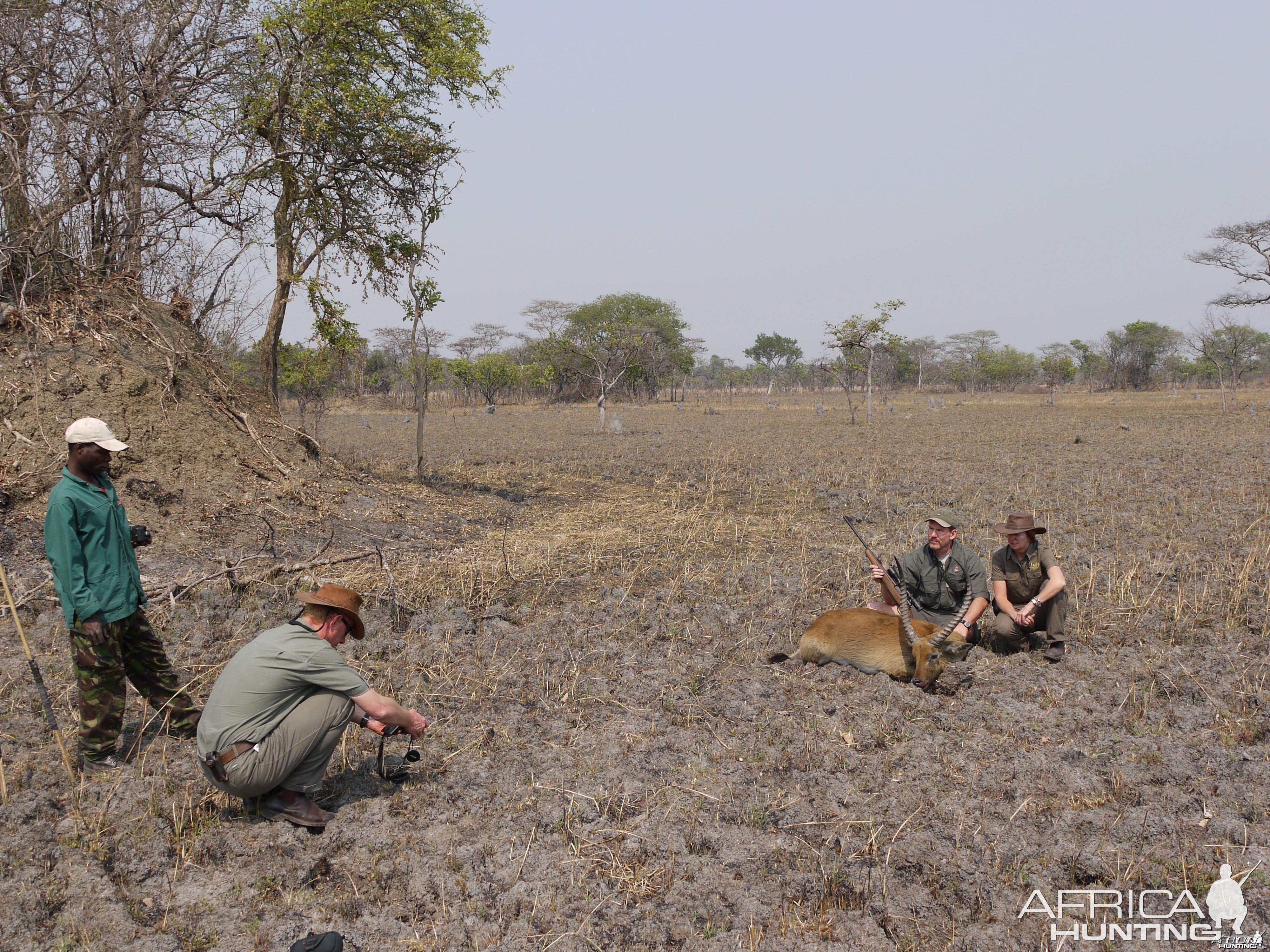 kafue lechwe