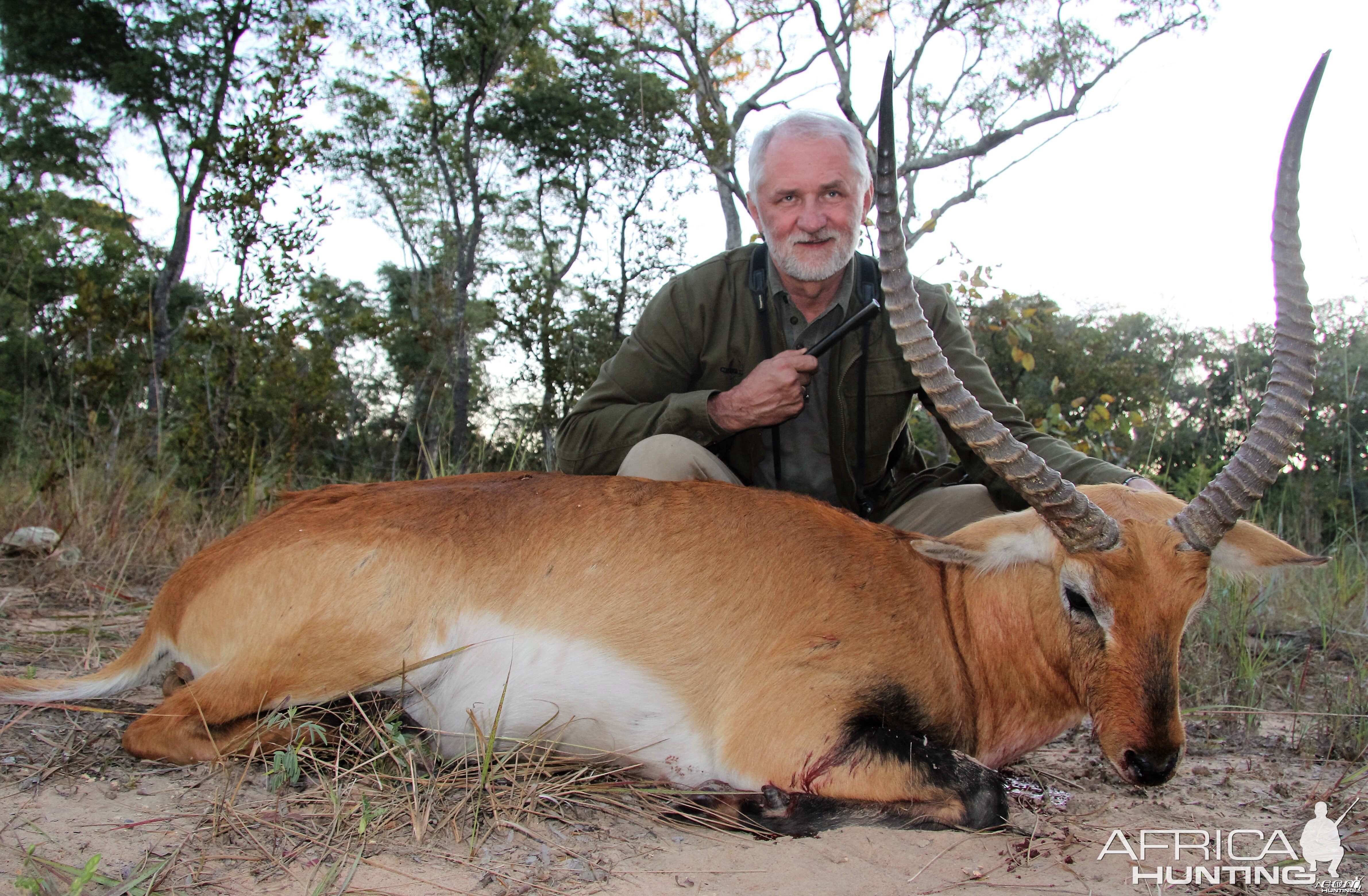 Kafue Lechwe