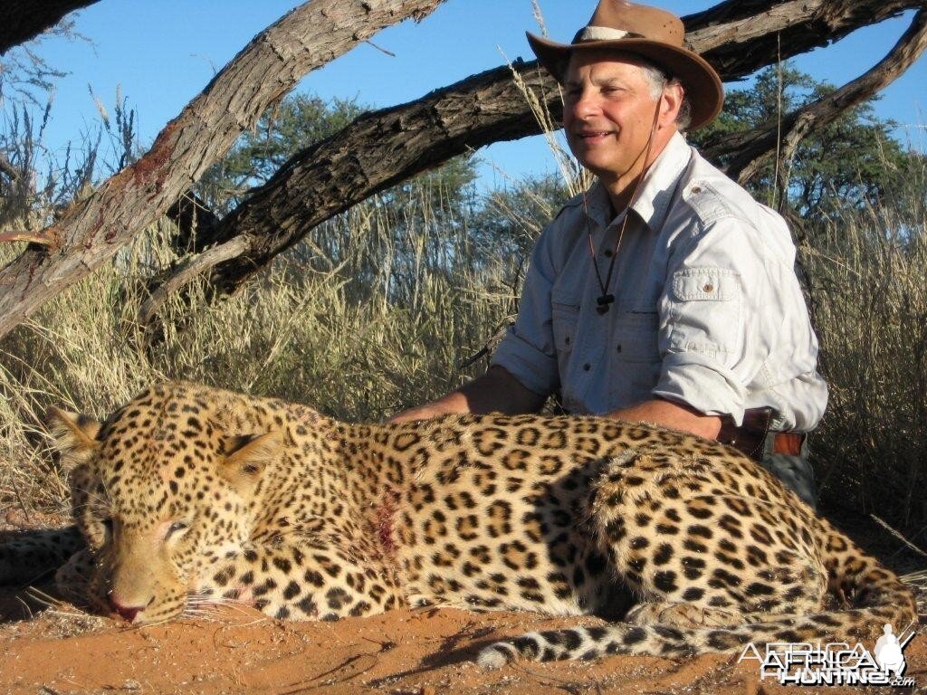 Kalahari Leopard