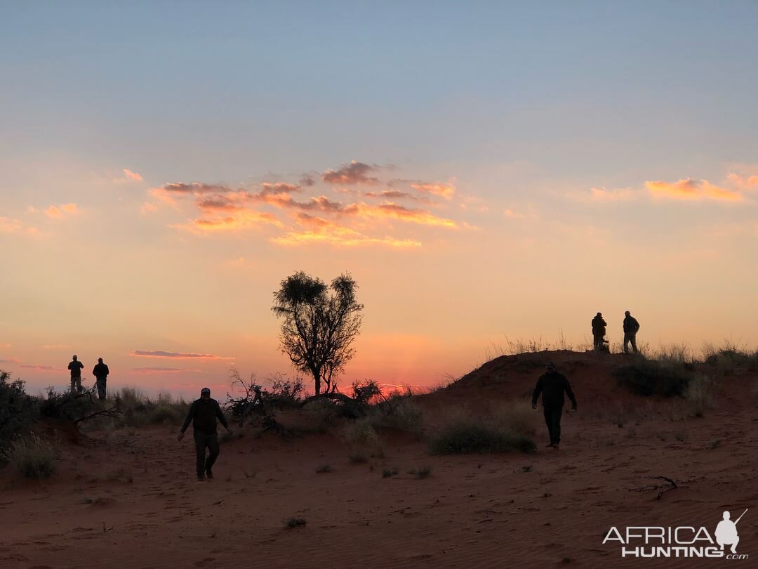 Kalahari Moments