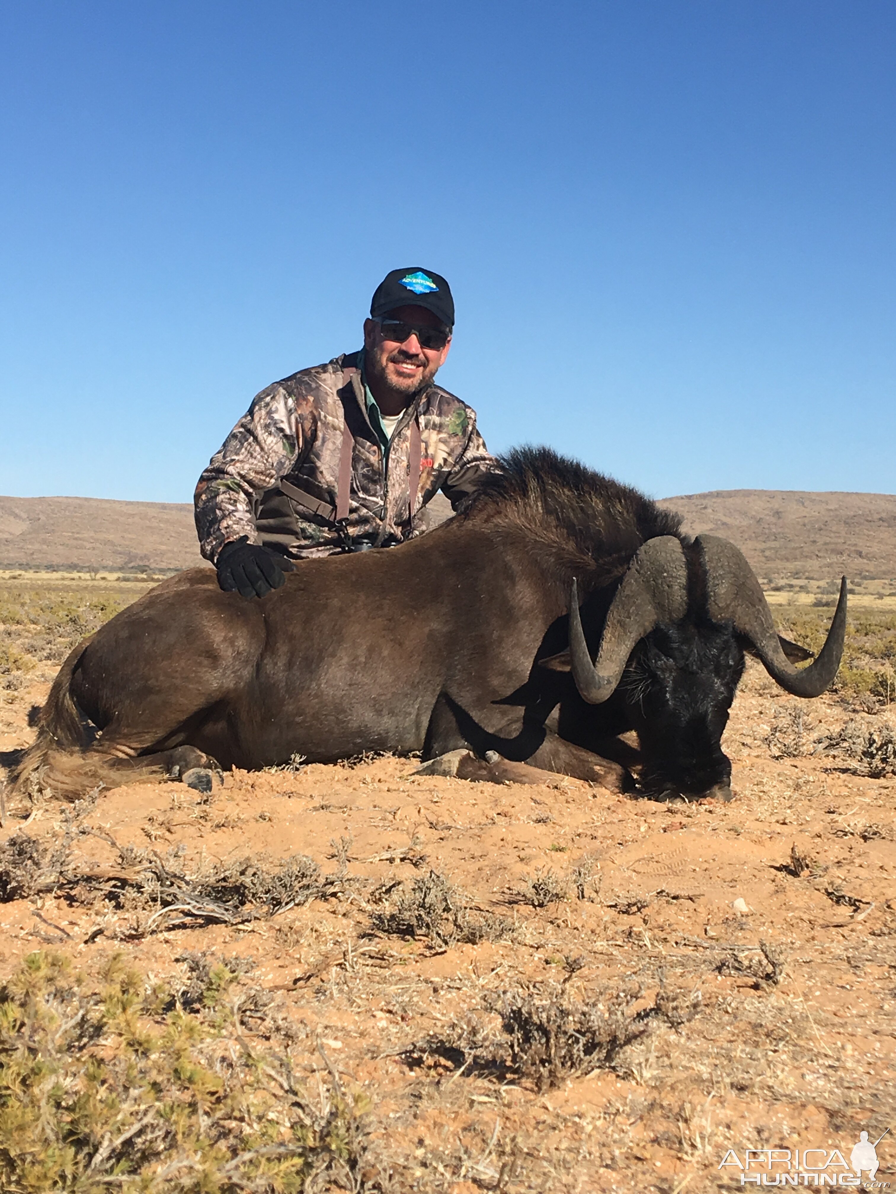 Kalahari South Africa Hunt Black Wildebeest