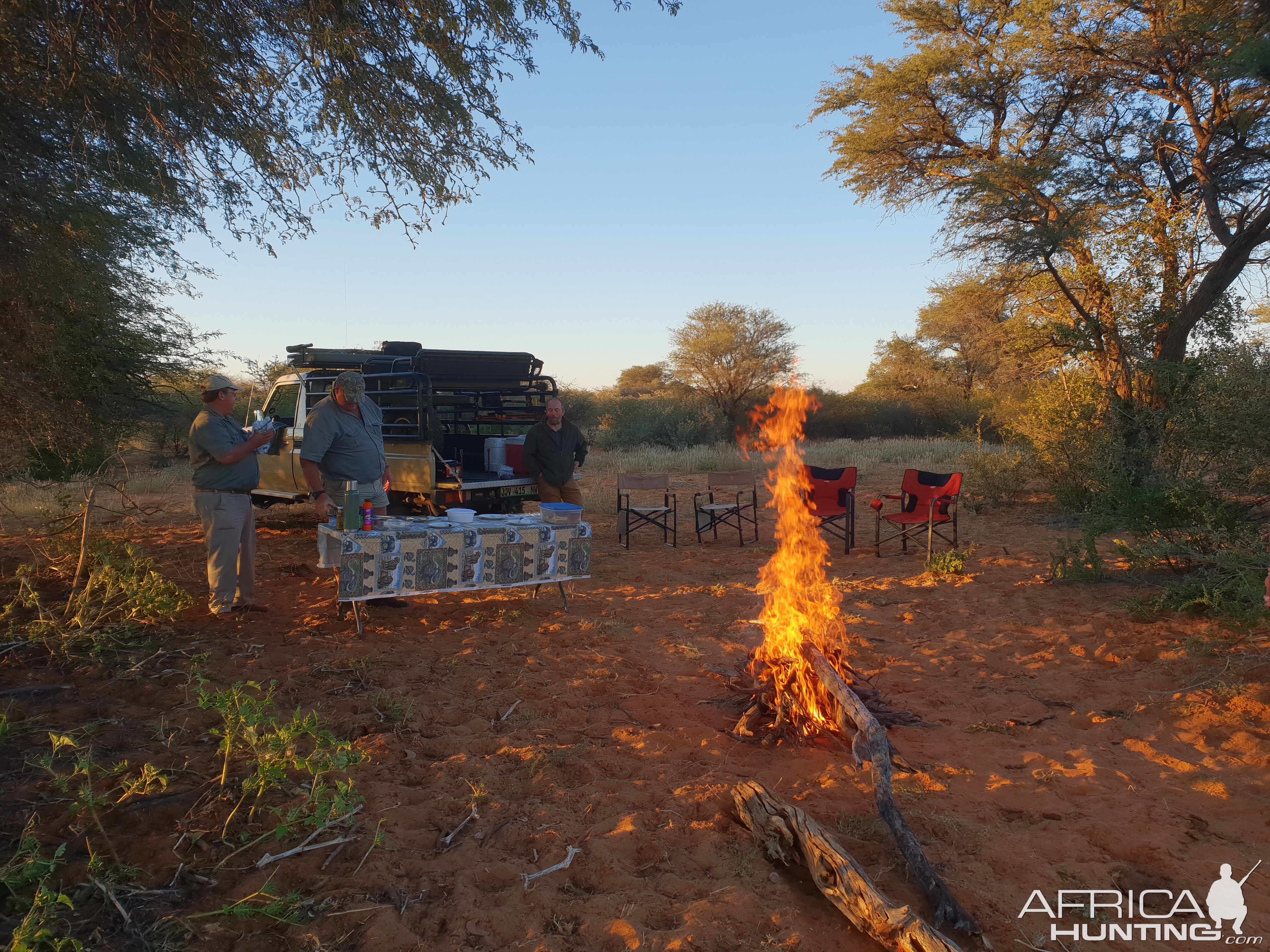 Kalahari South Africa Hunt