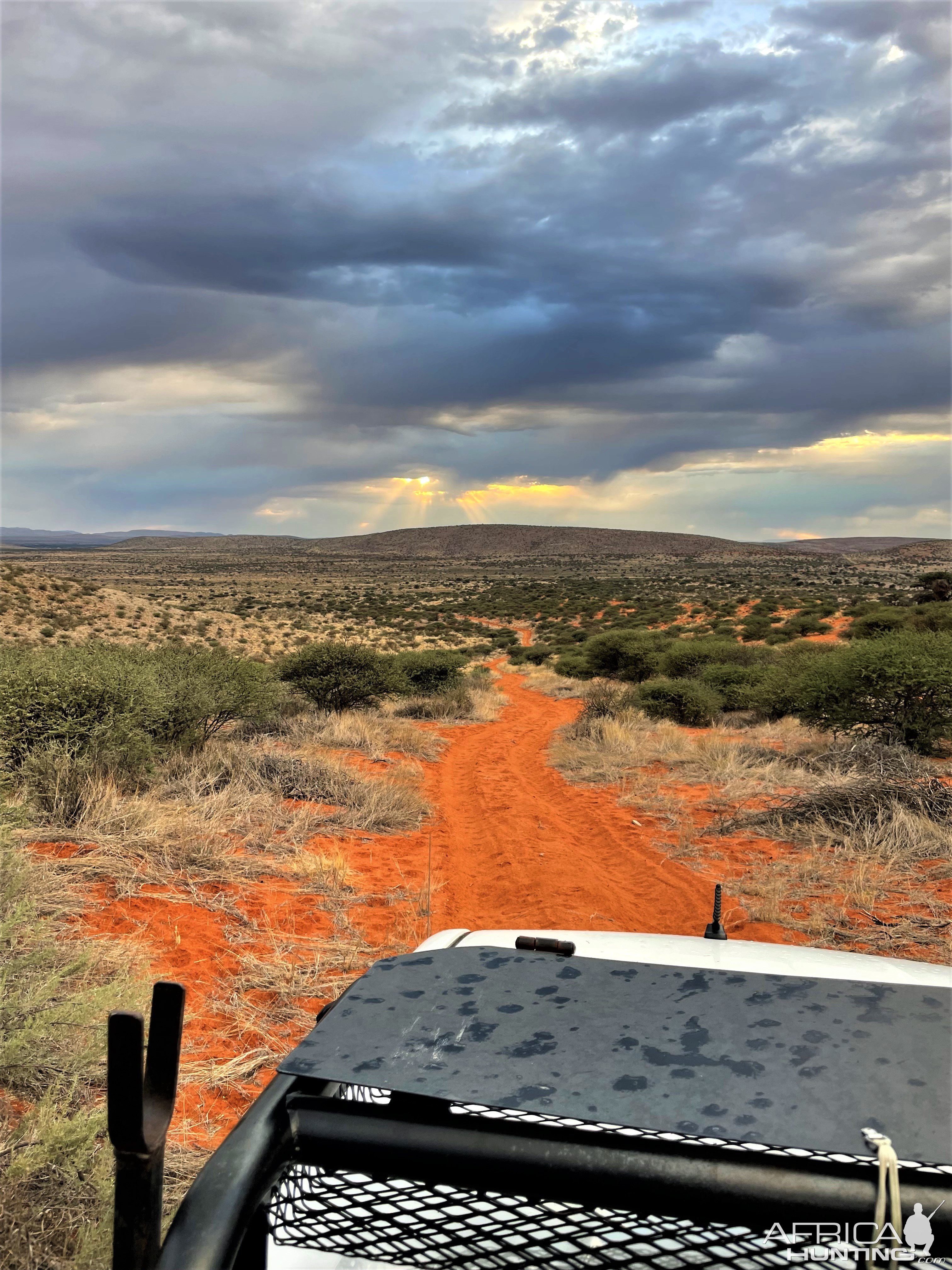 Kalahari South Africa Scenery