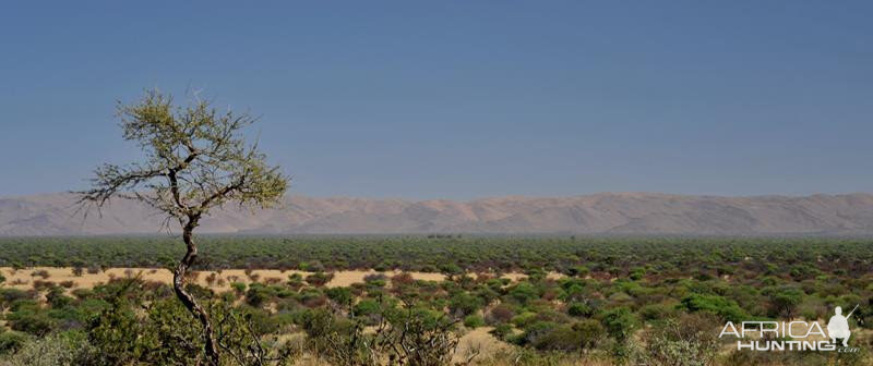 Kalahari South Africa