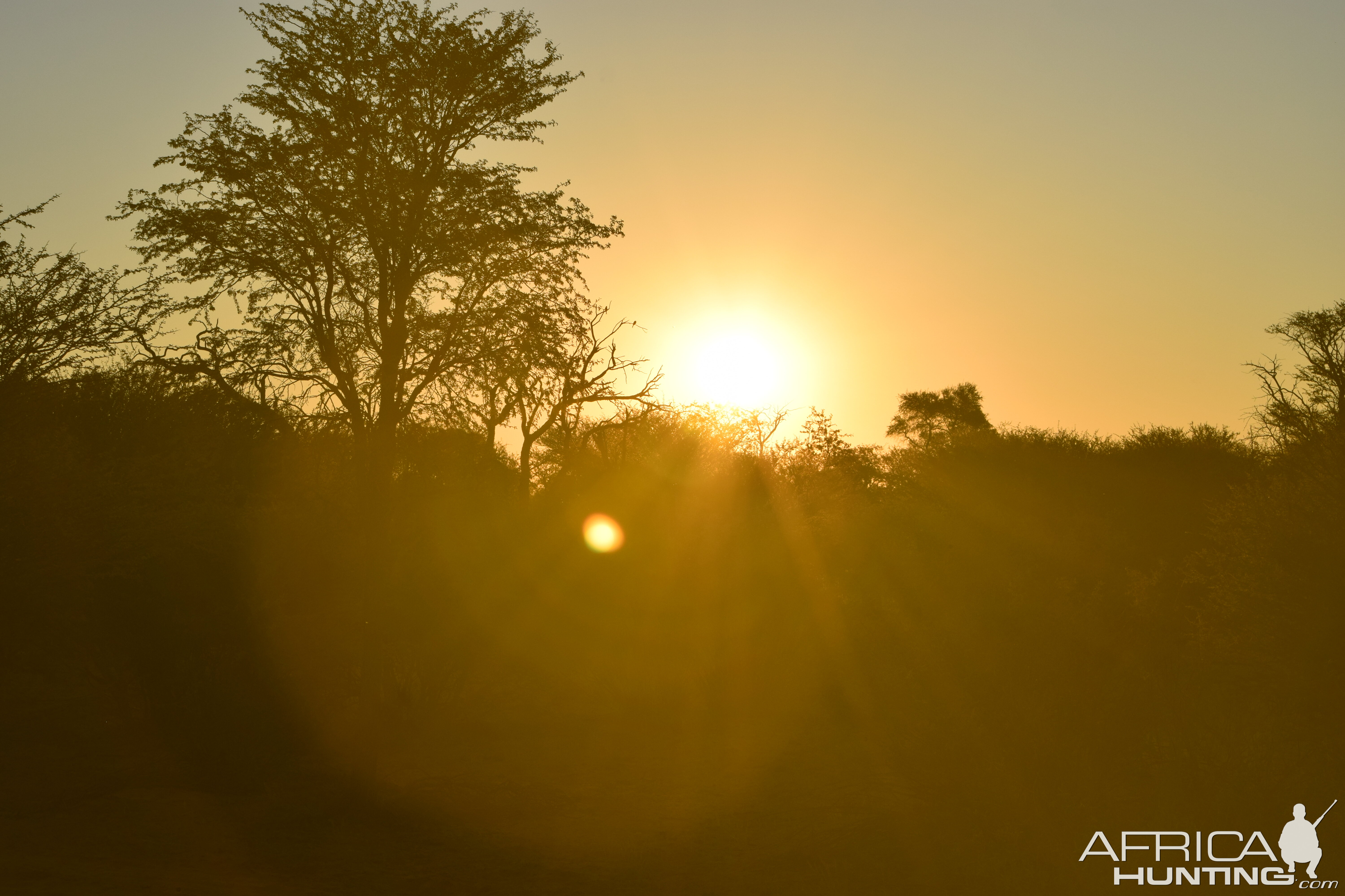 Kalahari Sunset