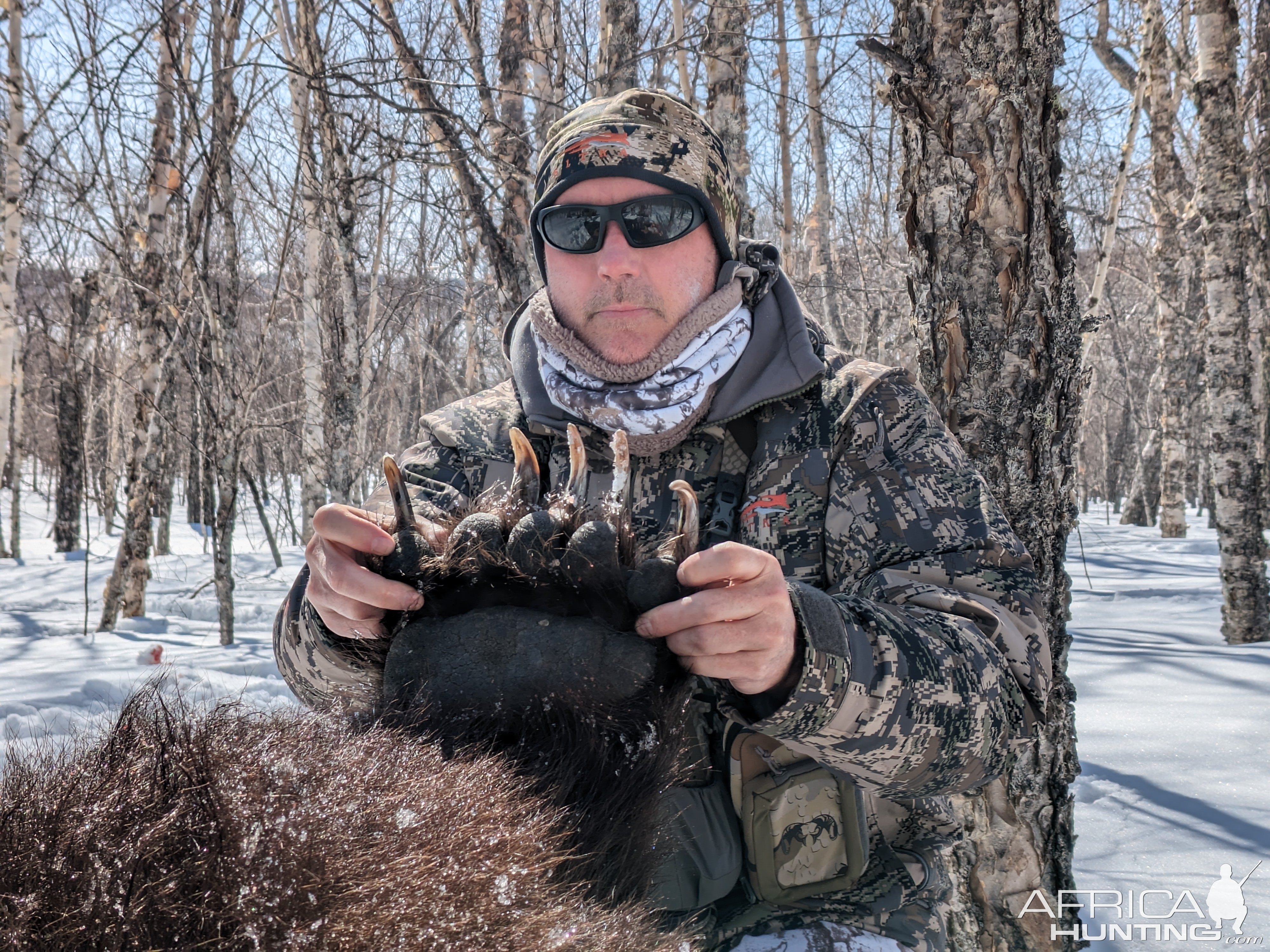 Kamchatka Brown Bear Claw