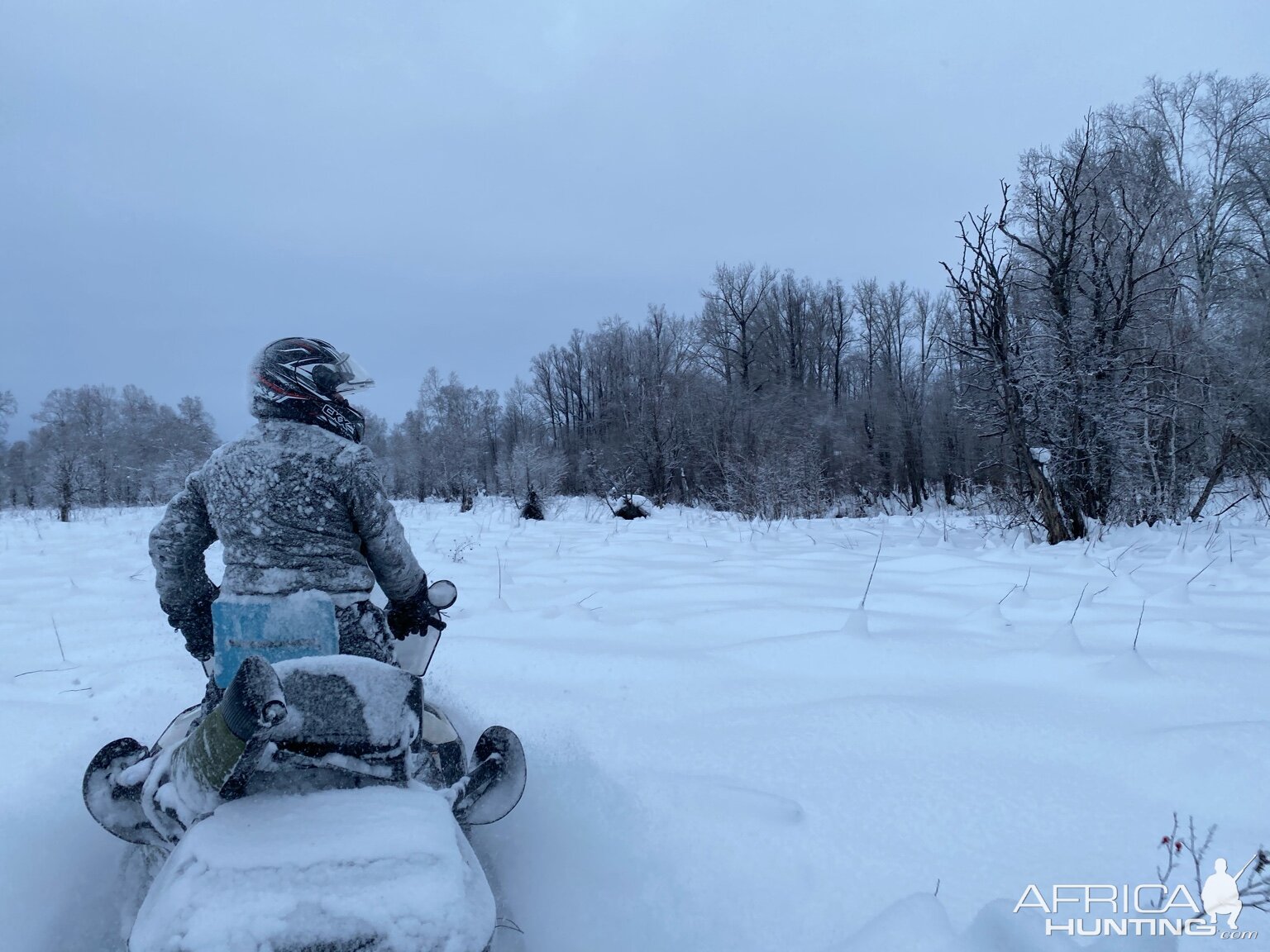 Kamchatka Russia Hunt Moose