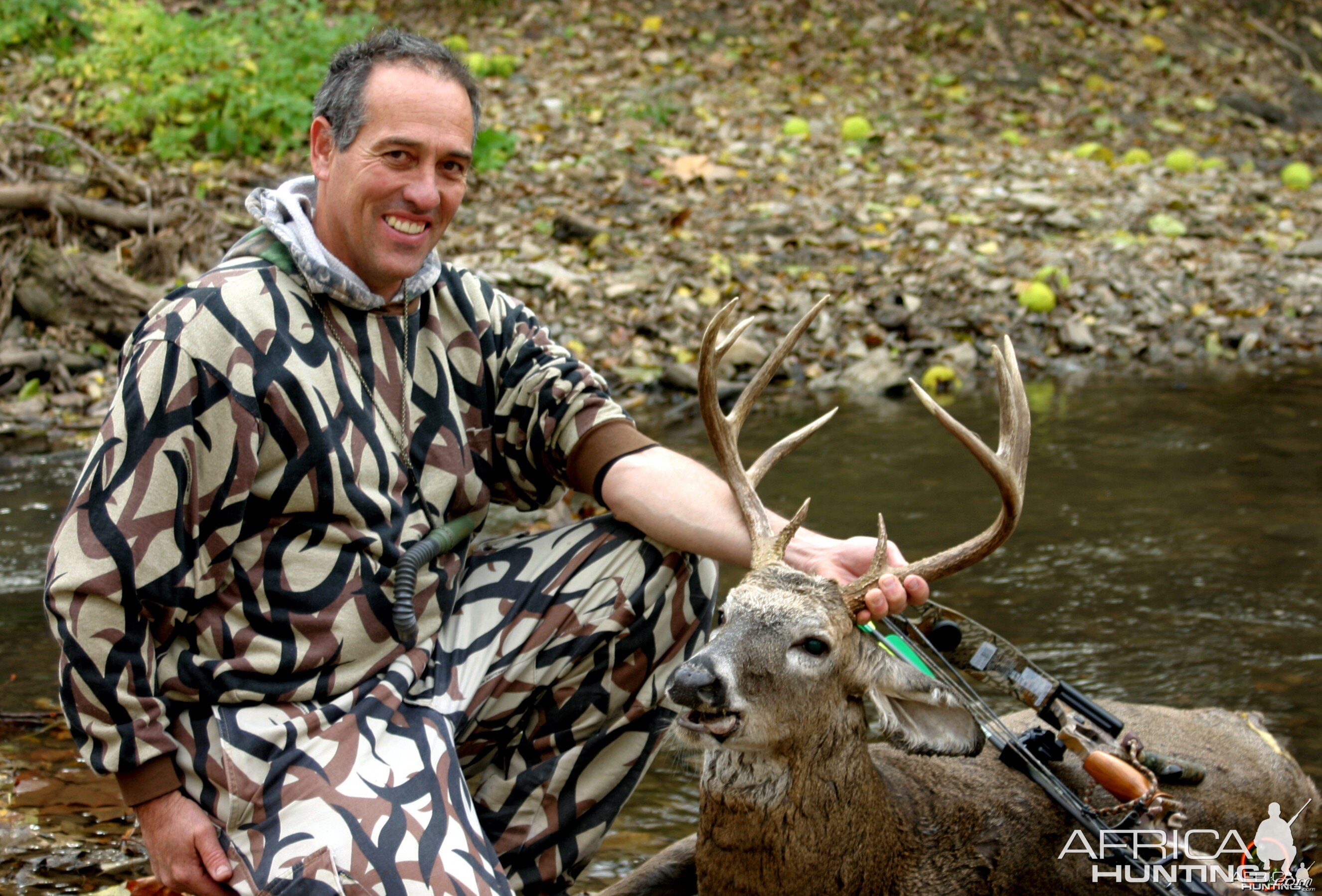 Kansas White-tailed deer