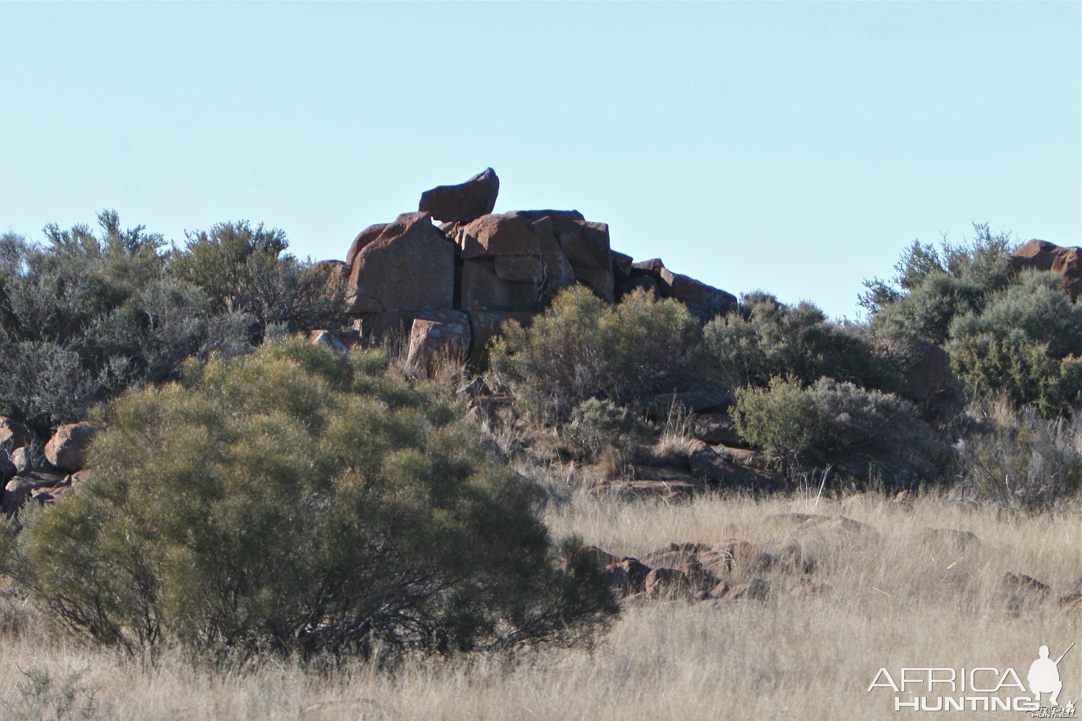 Karoo Eratics