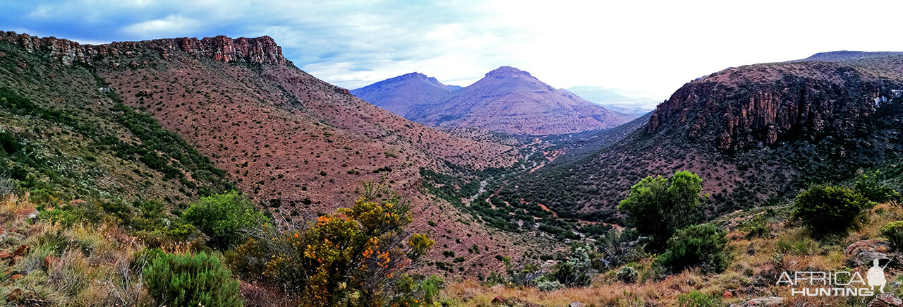 Karoo Hunt Area South Africa